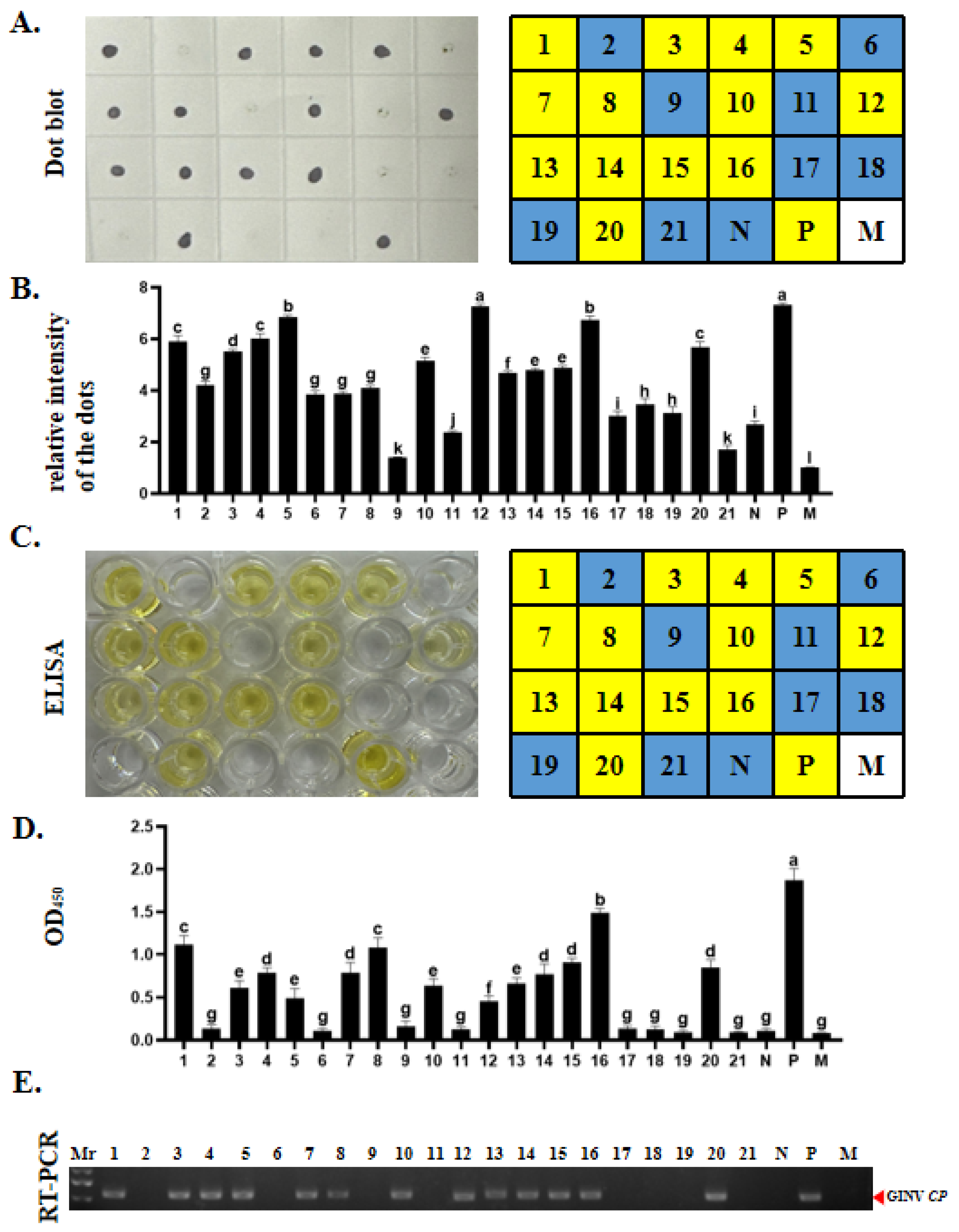 Agronomy 14 02594 g004