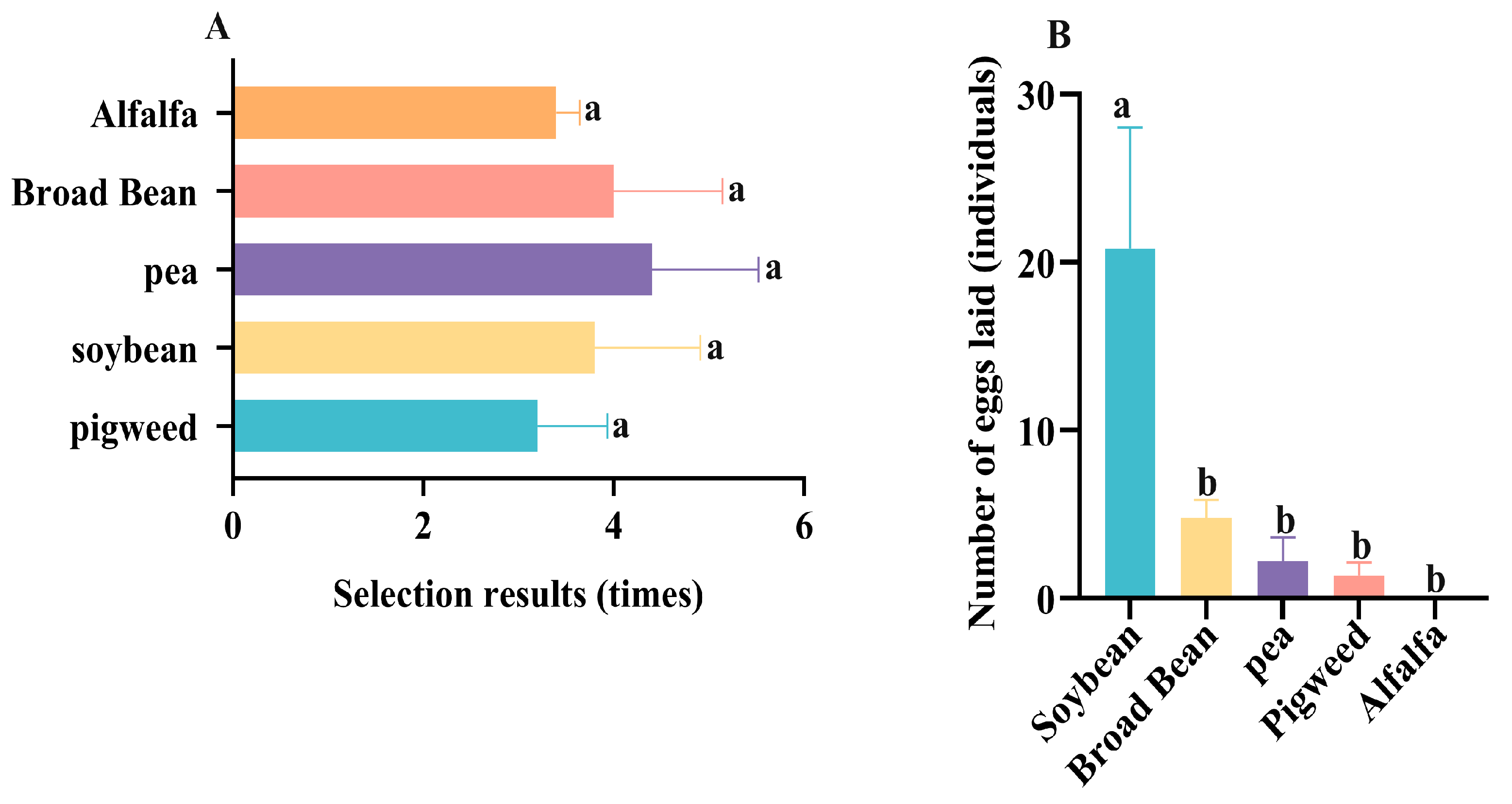 The Adaptability of Beet Webworm (Loxostege sticticalis) to