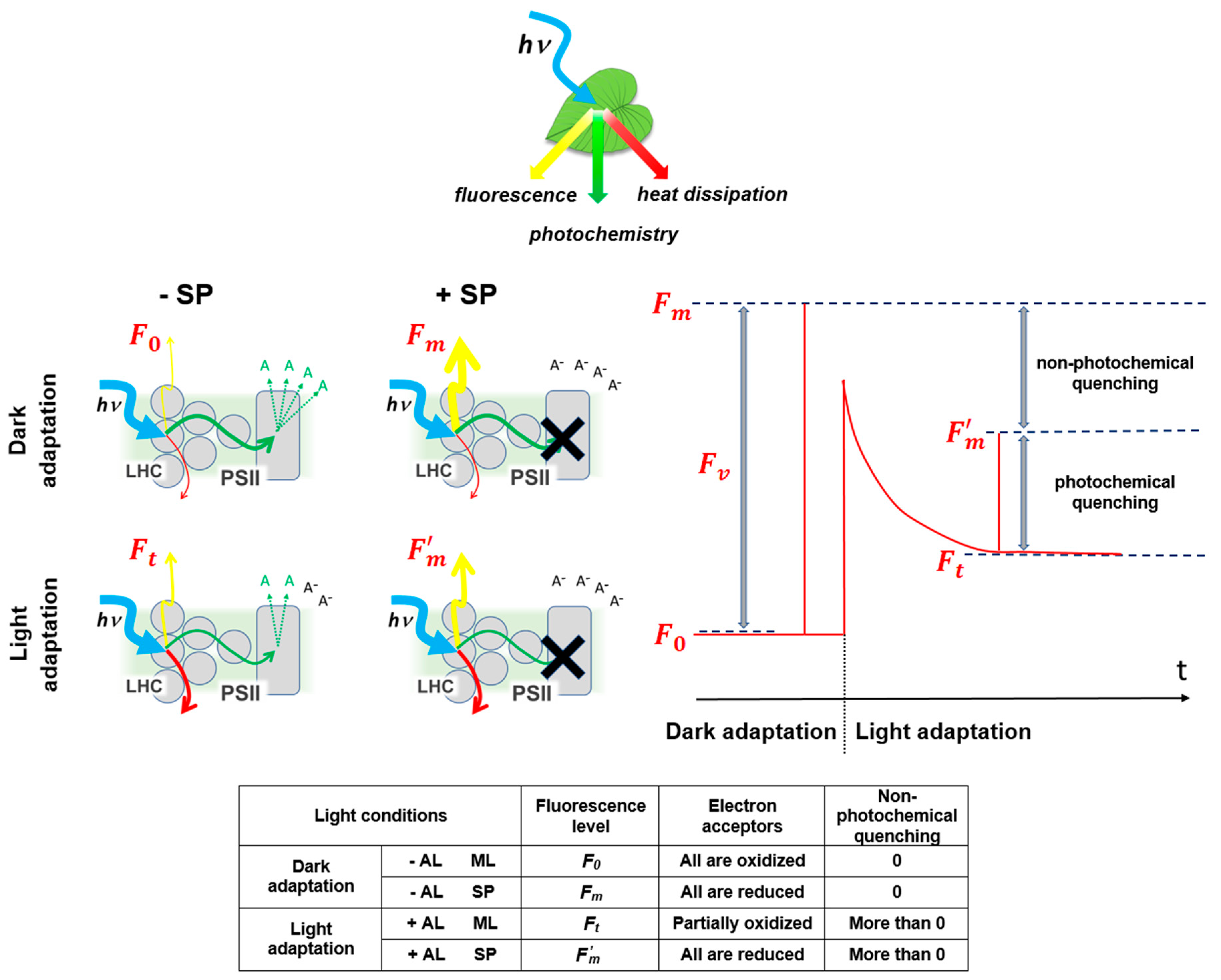 Agronomy 14 02600 g001