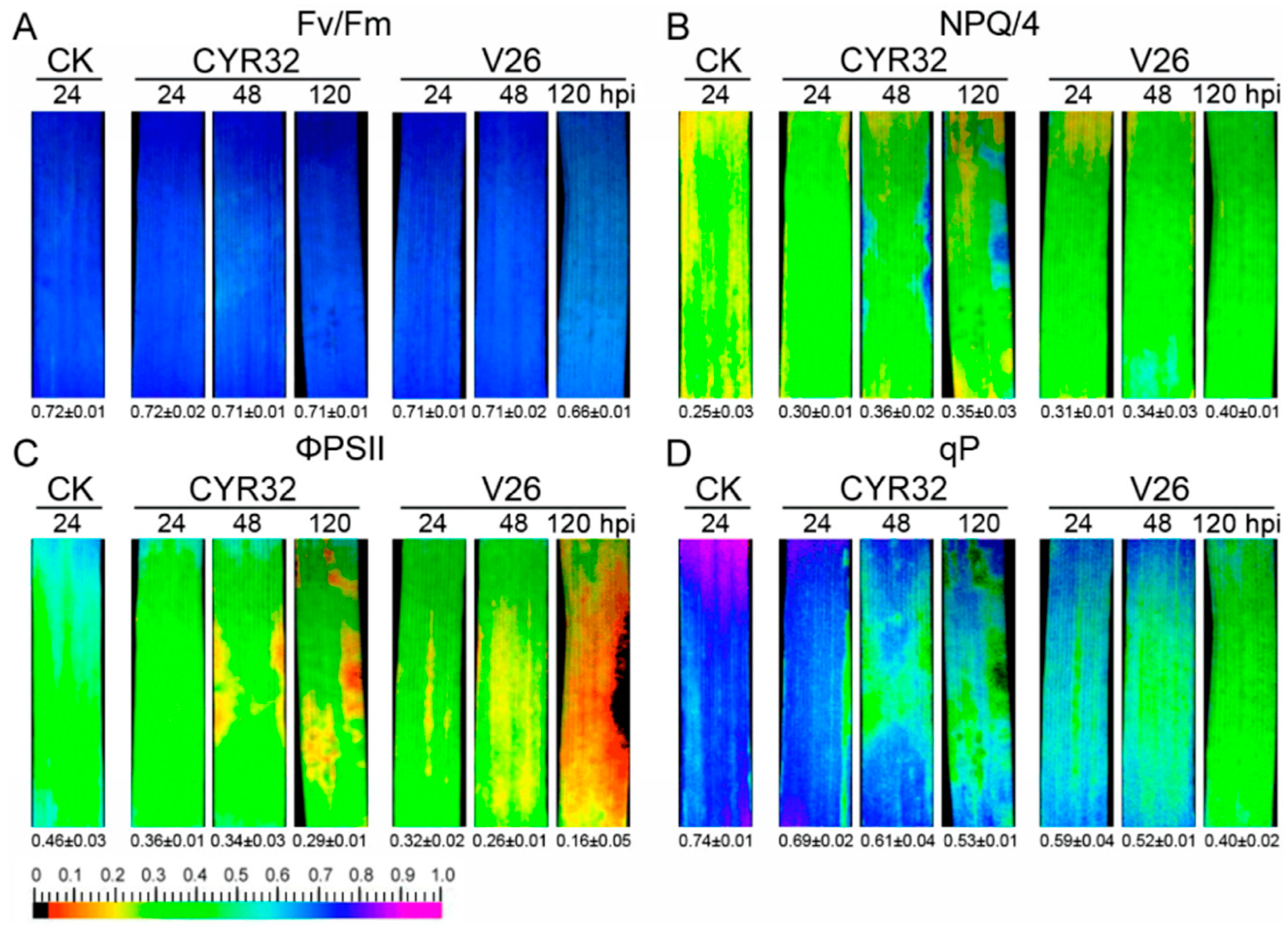 Agronomy 14 02600 g004