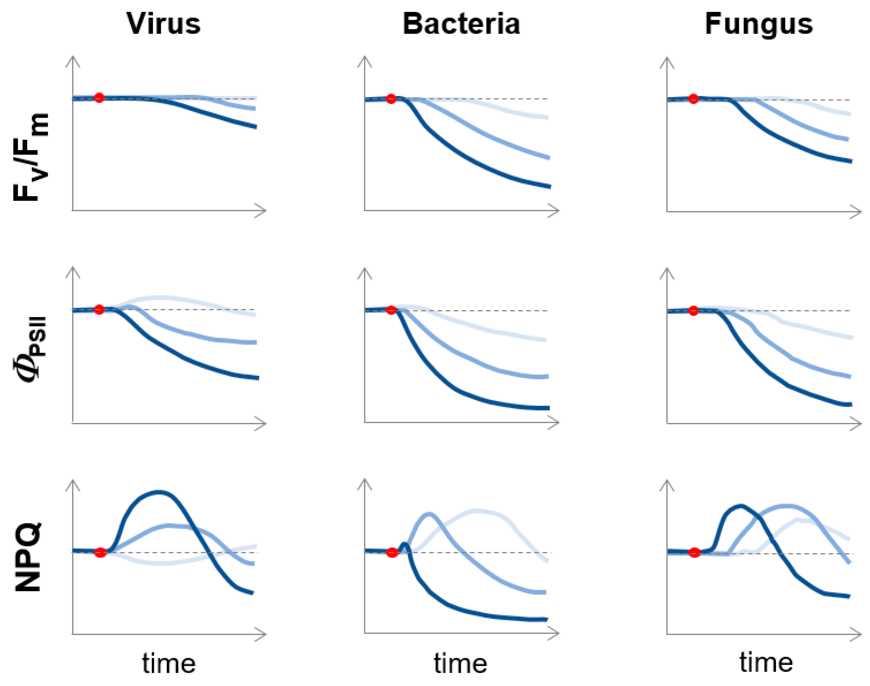 Agronomy 14 02600 g005