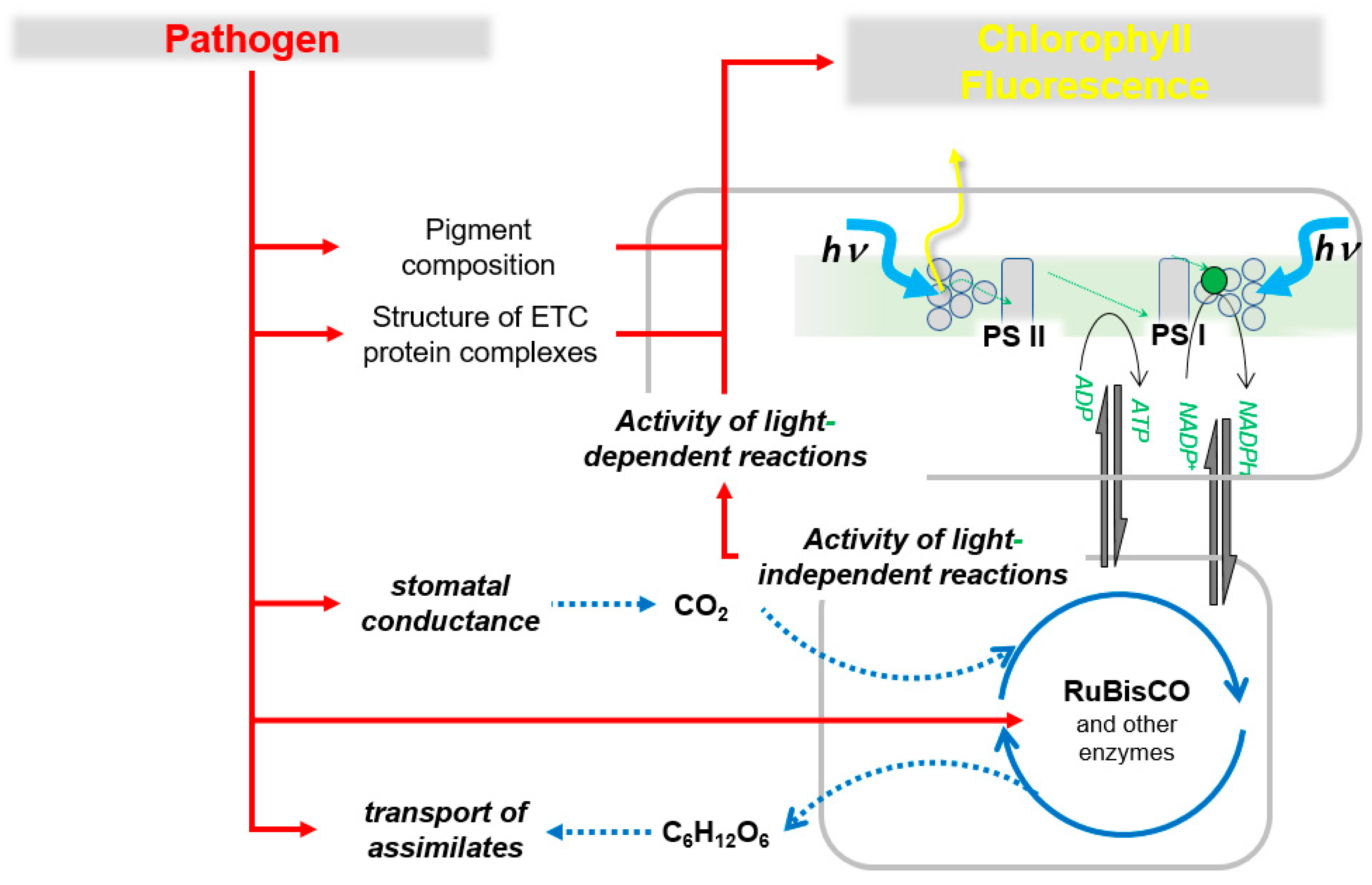 Agronomy 14 02600 g006
