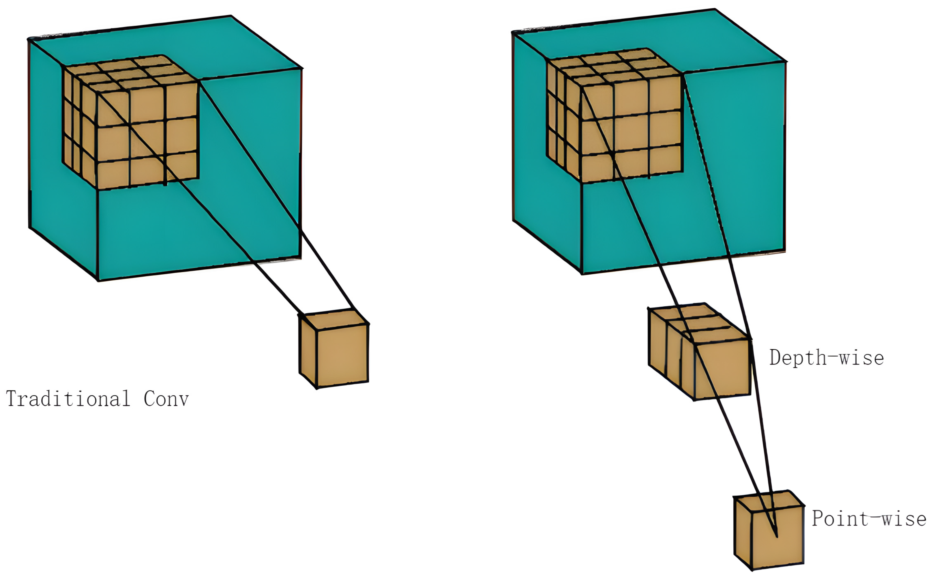 Agronomy 14 02602 g007