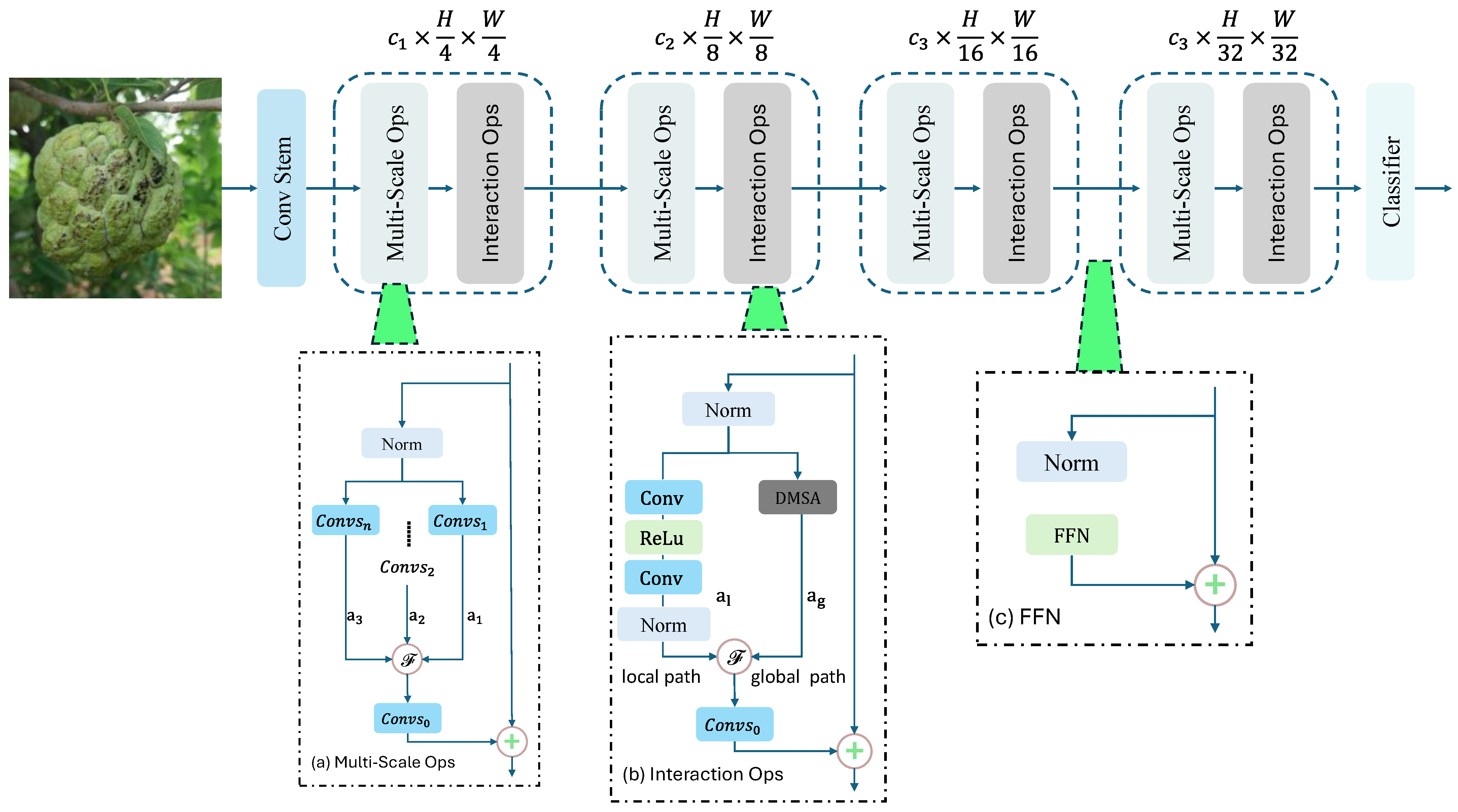 Agronomy 14 02605 g001