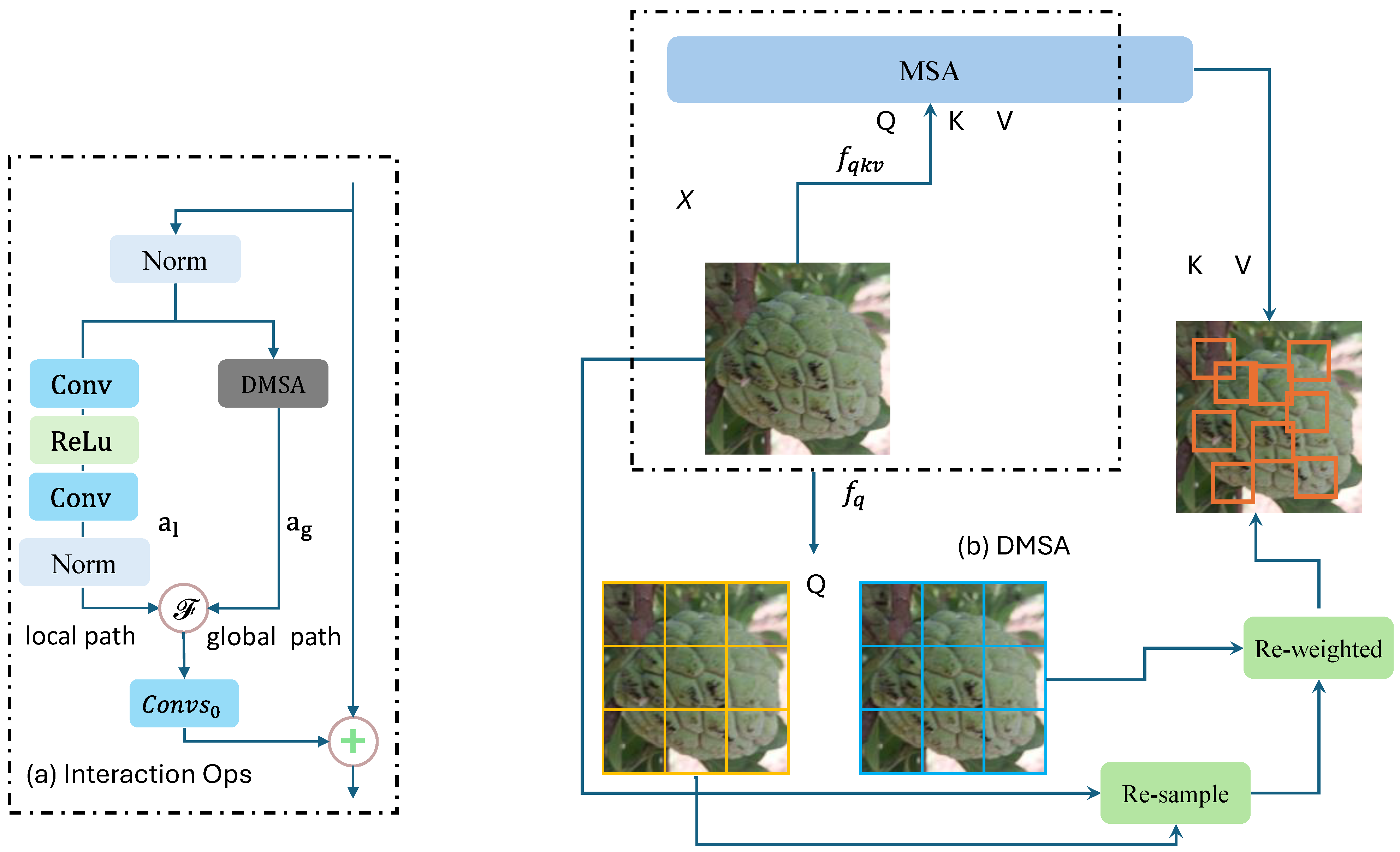 Agronomy 14 02605 g002