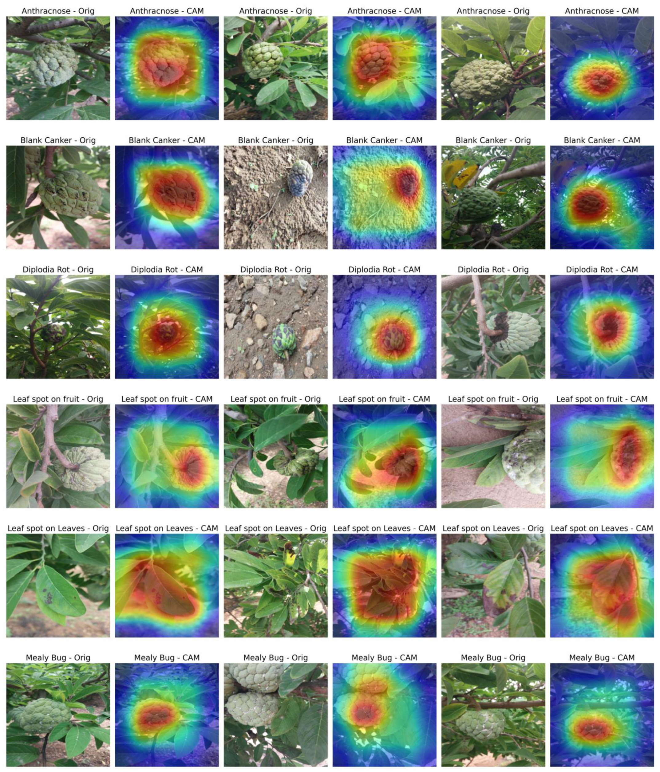 Agronomy 14 02605 g007