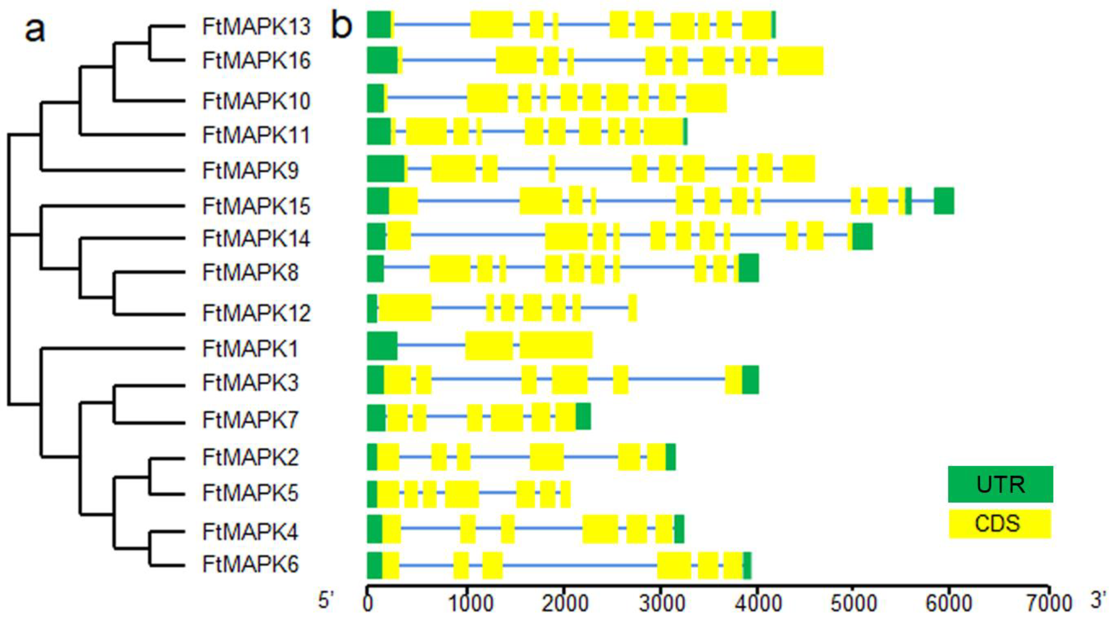 Agronomy 14 02613 g001