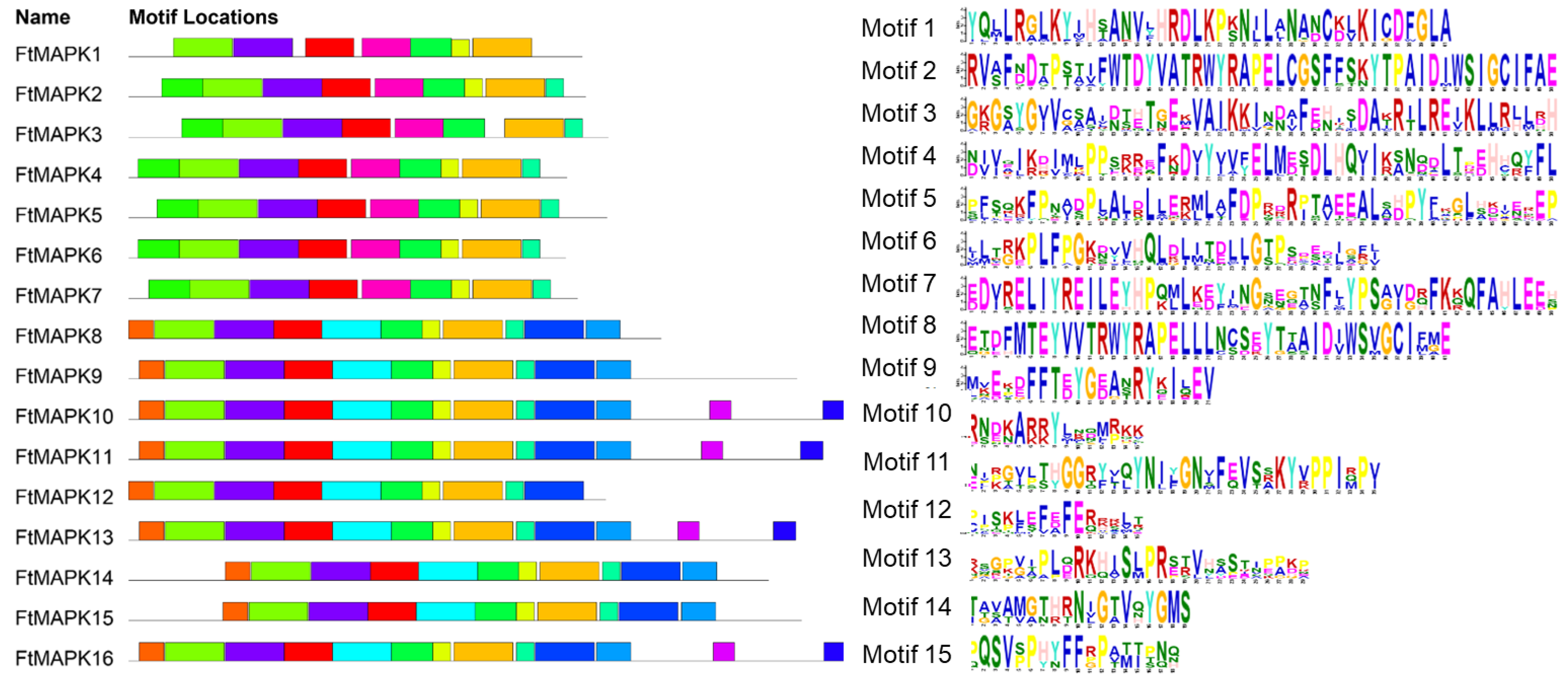 Agronomy 14 02613 g002