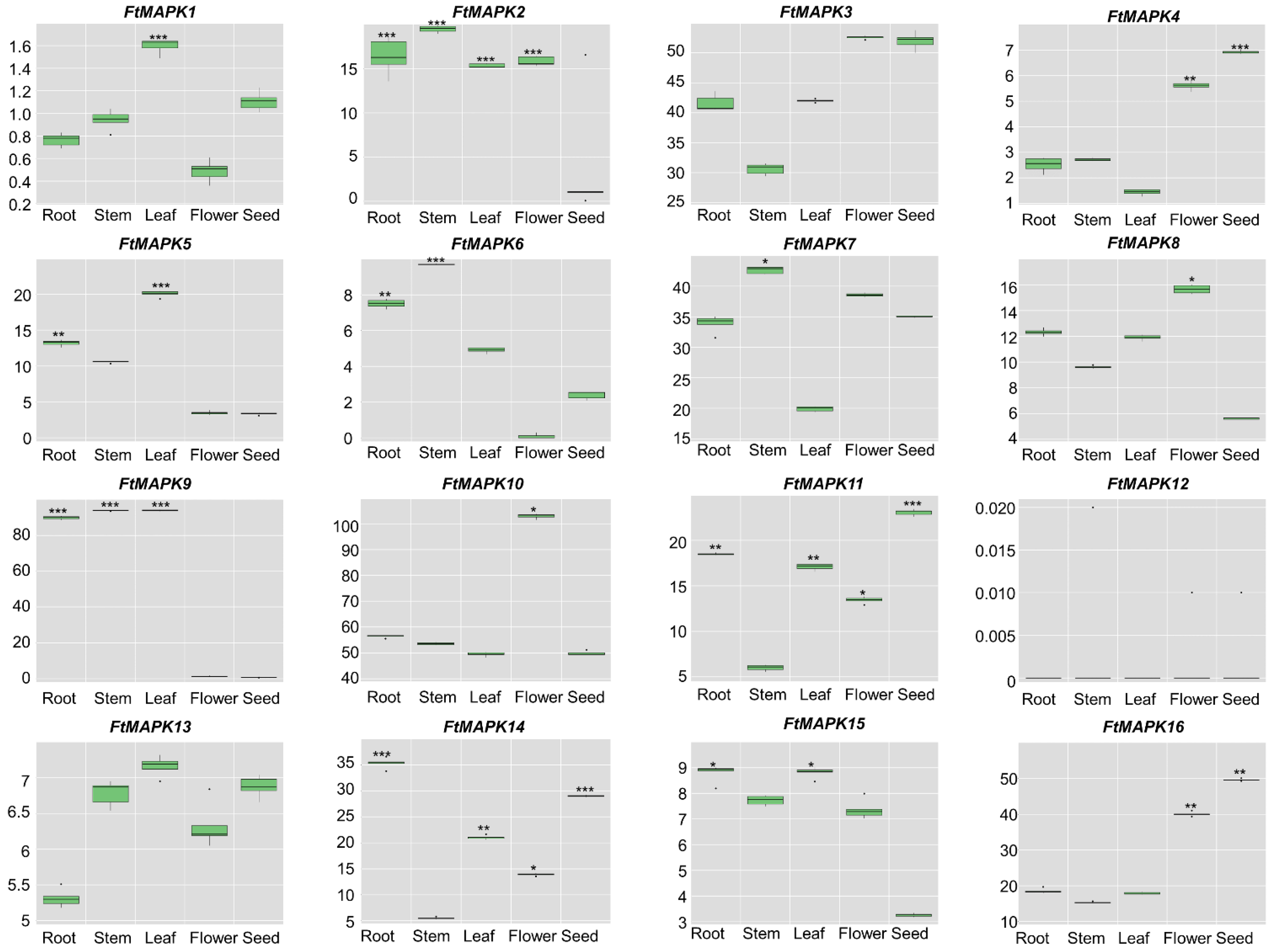 Agronomy 14 02613 g003