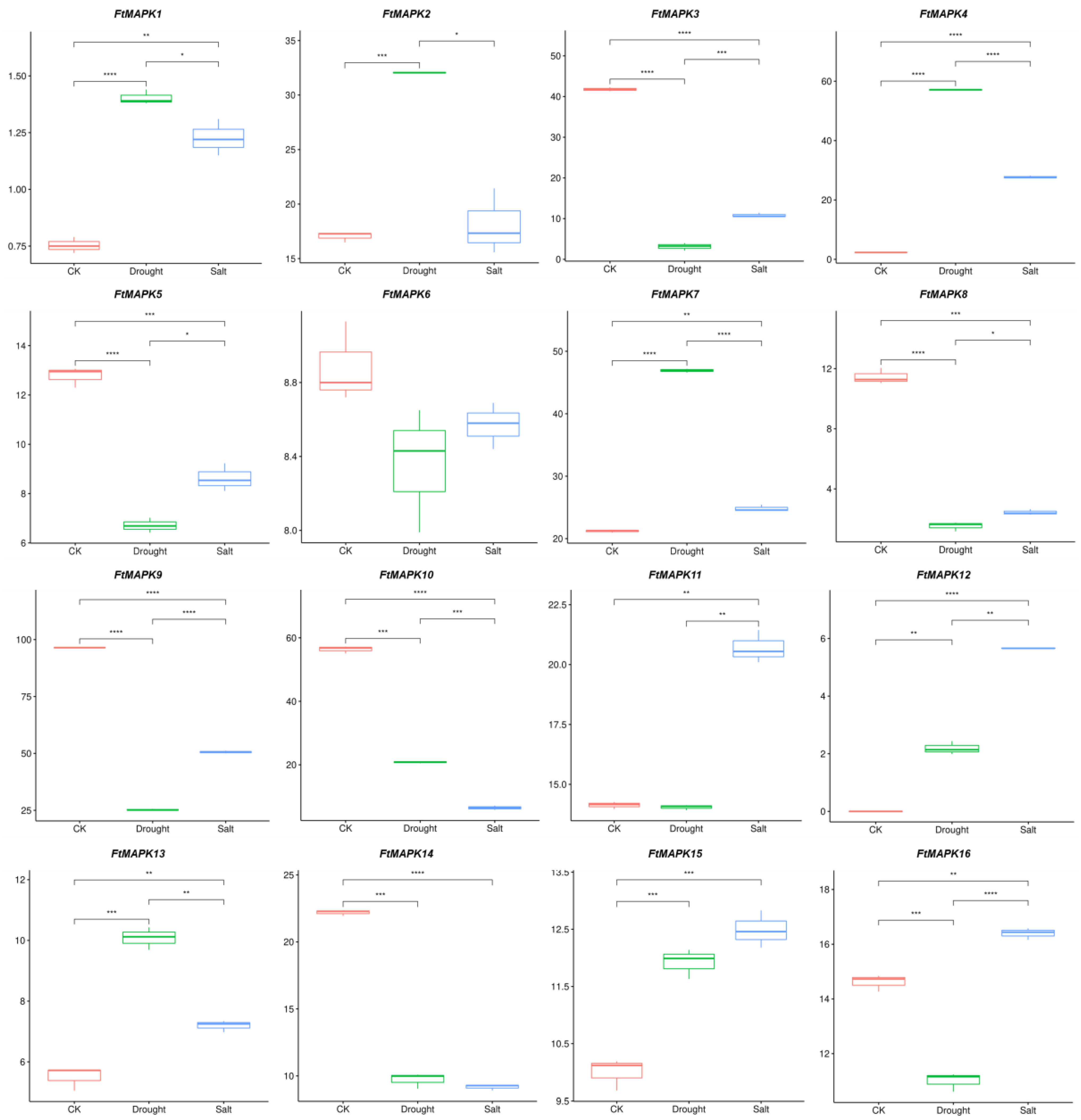 Agronomy 14 02613 g006