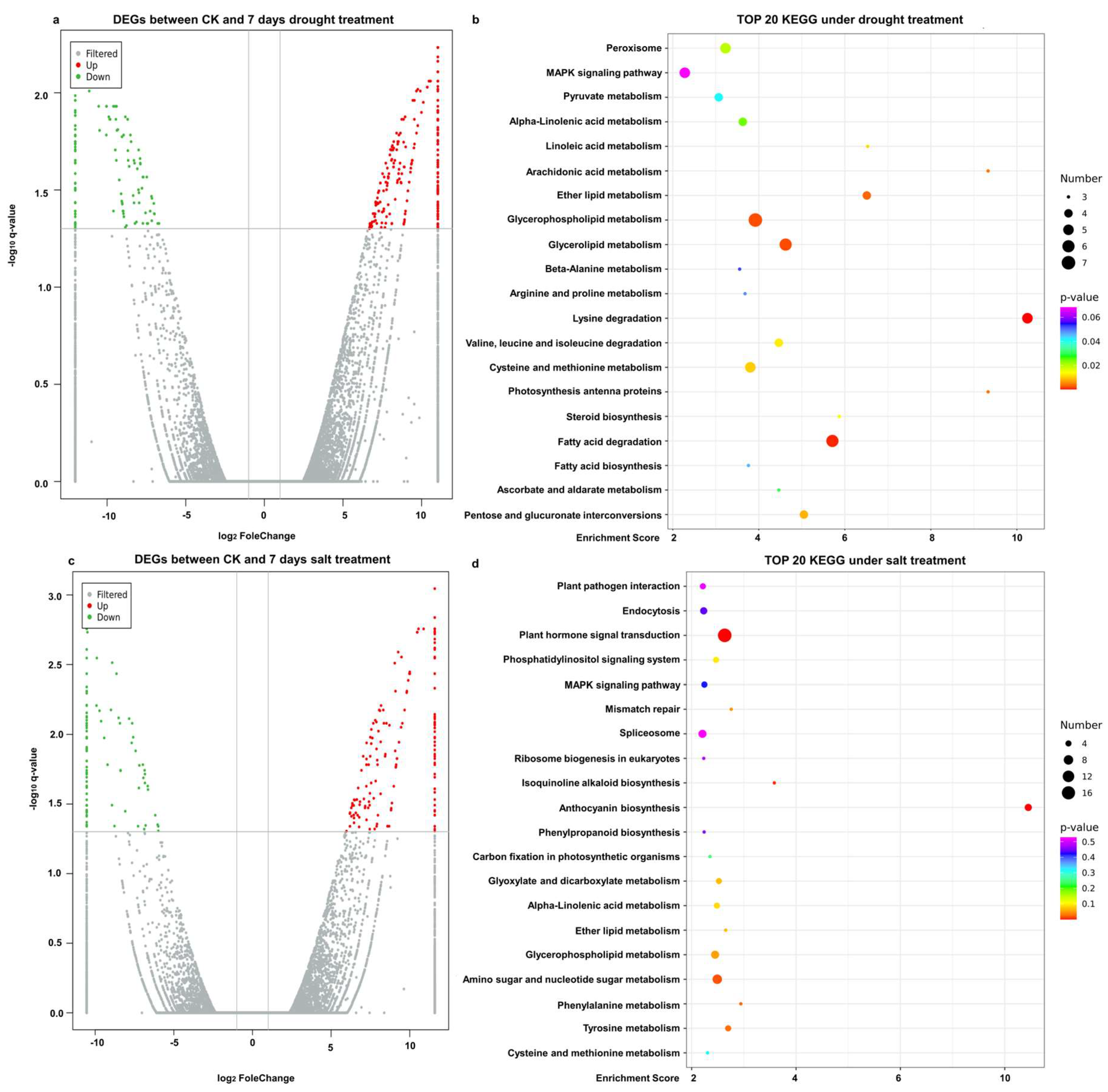 Agronomy 14 02613 g007