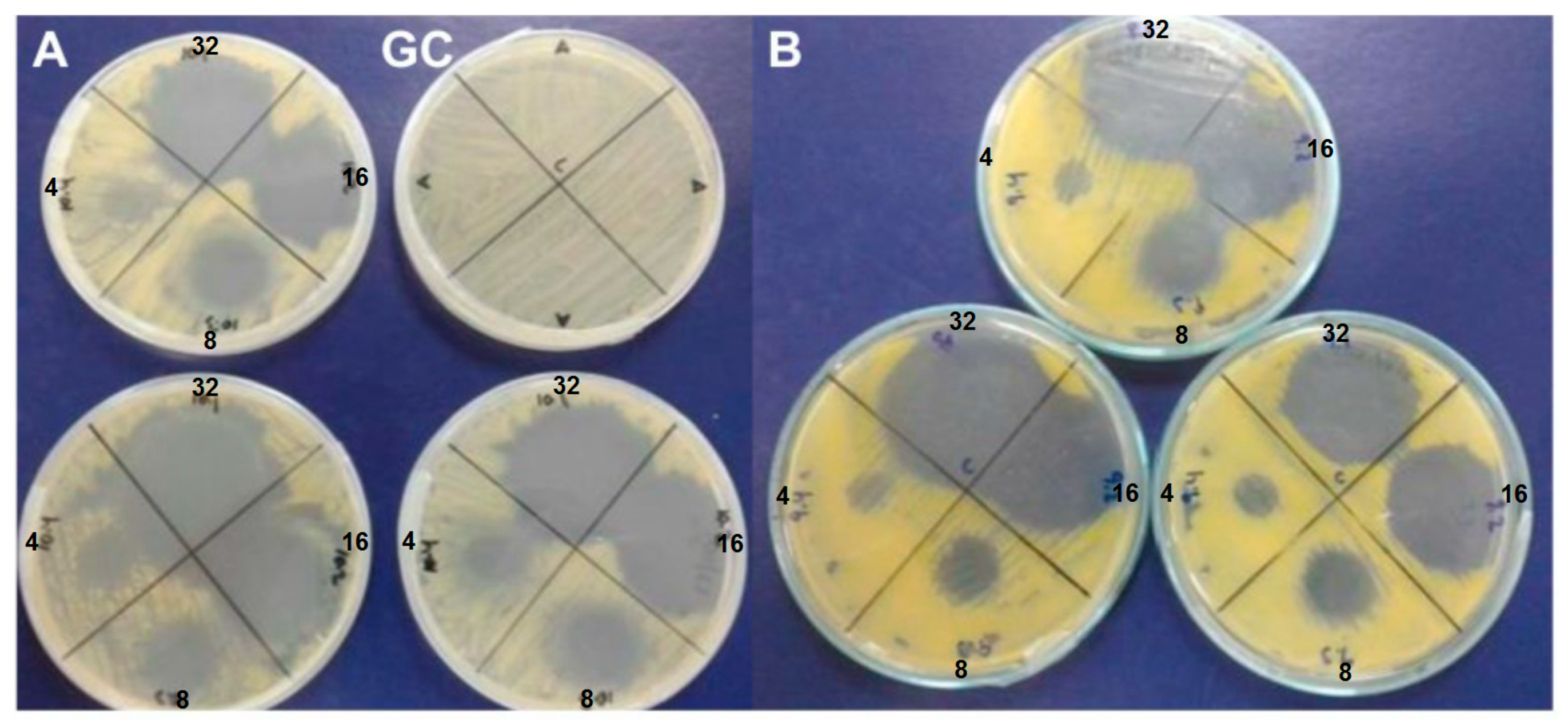 Agronomy 14 02615 g002