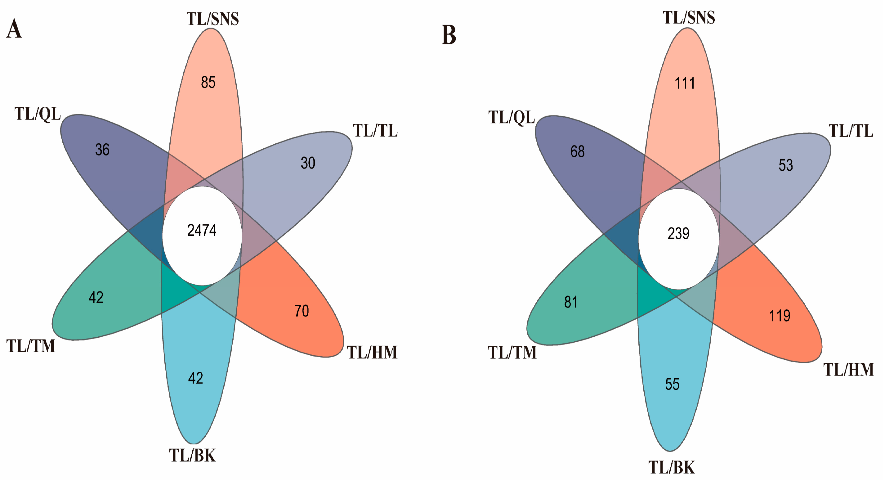 Agronomy 14 02616 g008