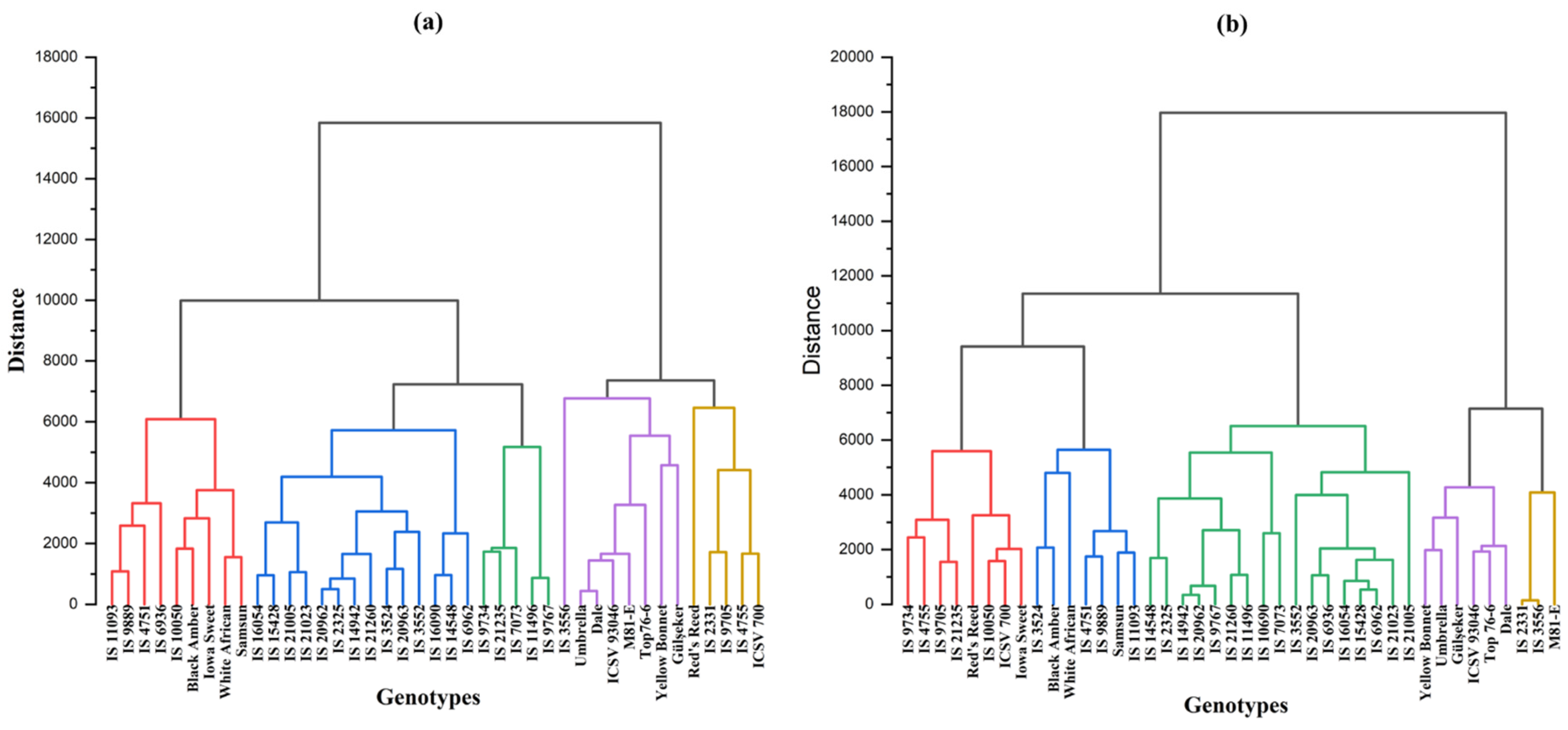 Agronomy 14 02626 g003
