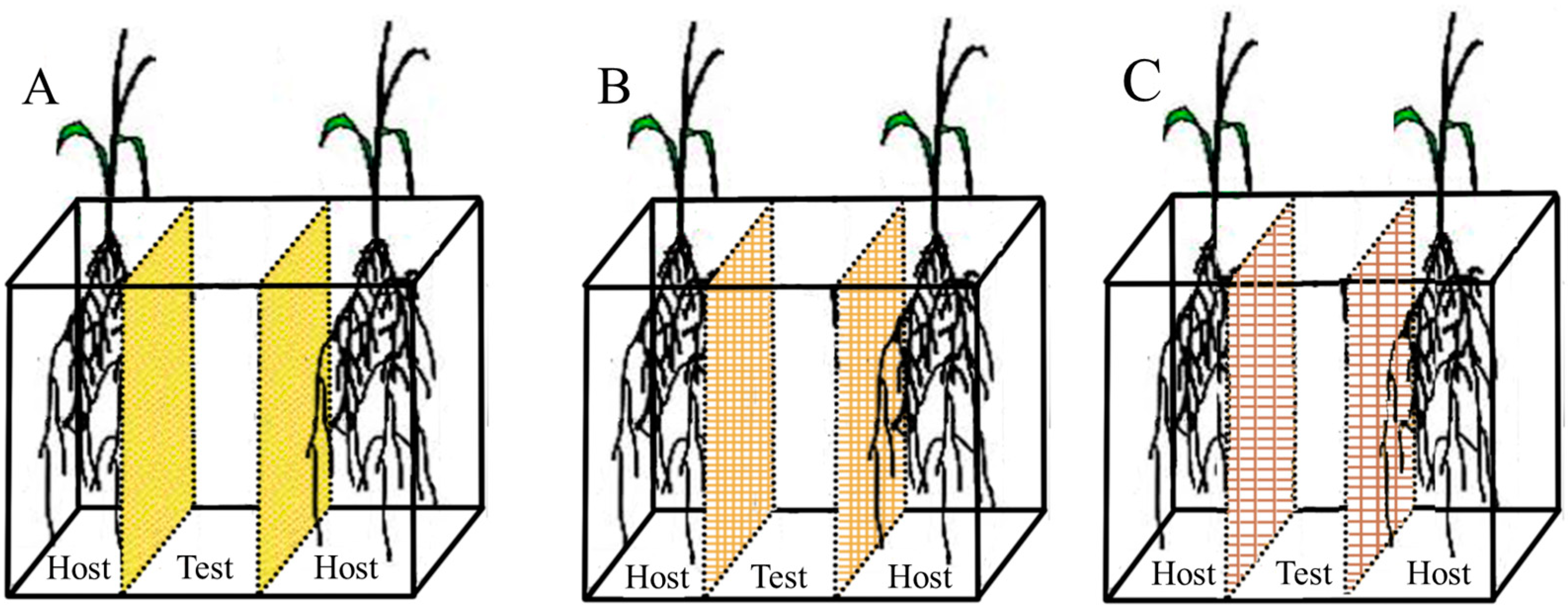 Agronomy 14 02627 g001