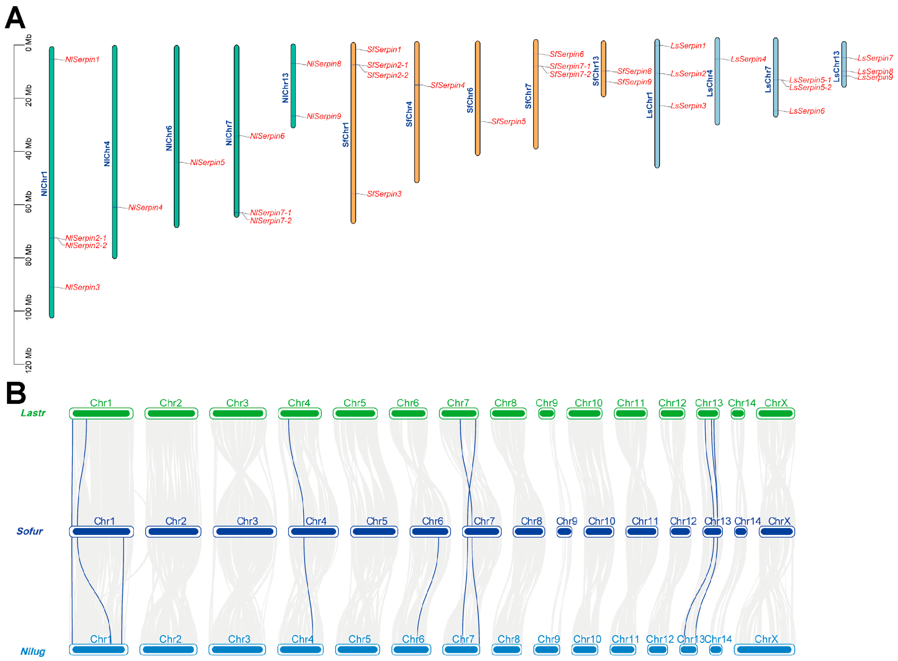 Agronomy 14 02630 g002 Agronomy 14 02630 g002