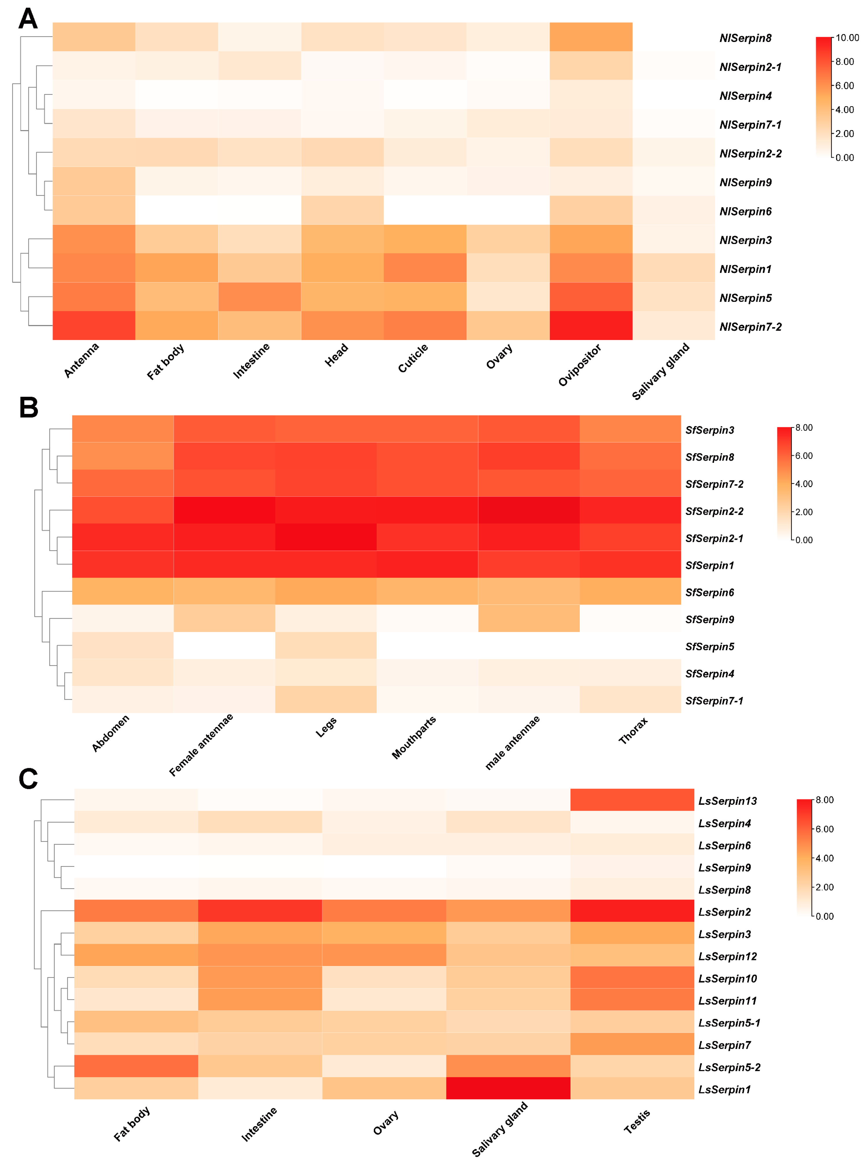 Agronomy 14 02630 g005 Agronomy 14 02630 g005