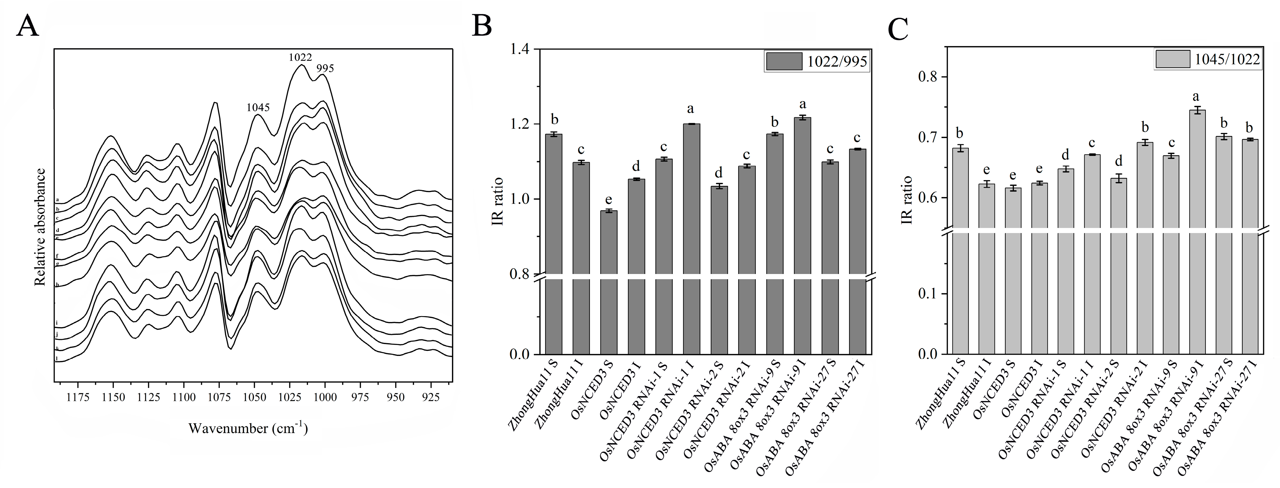 Agronomy 14 02632 g003