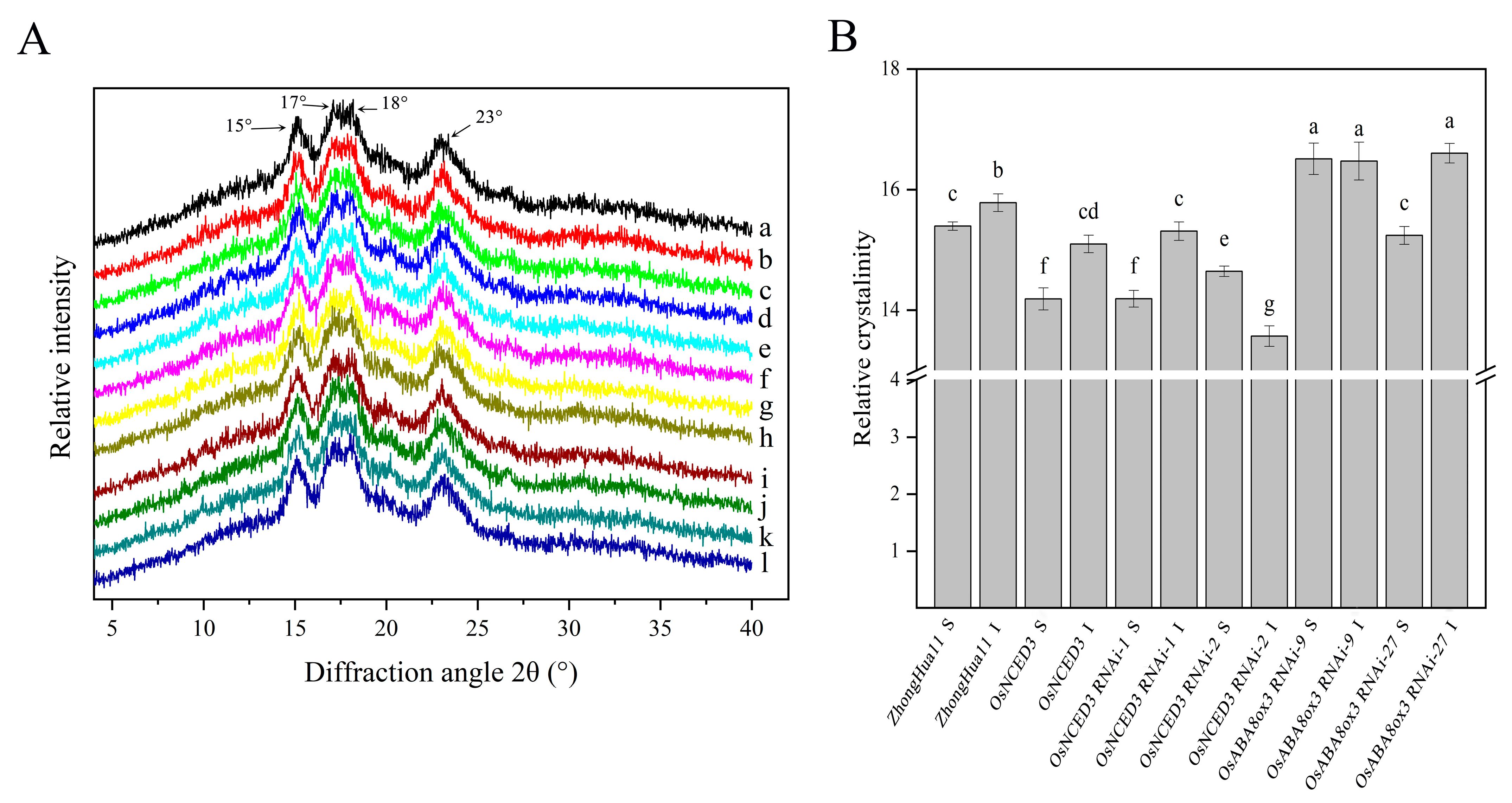 Agronomy 14 02632 g004