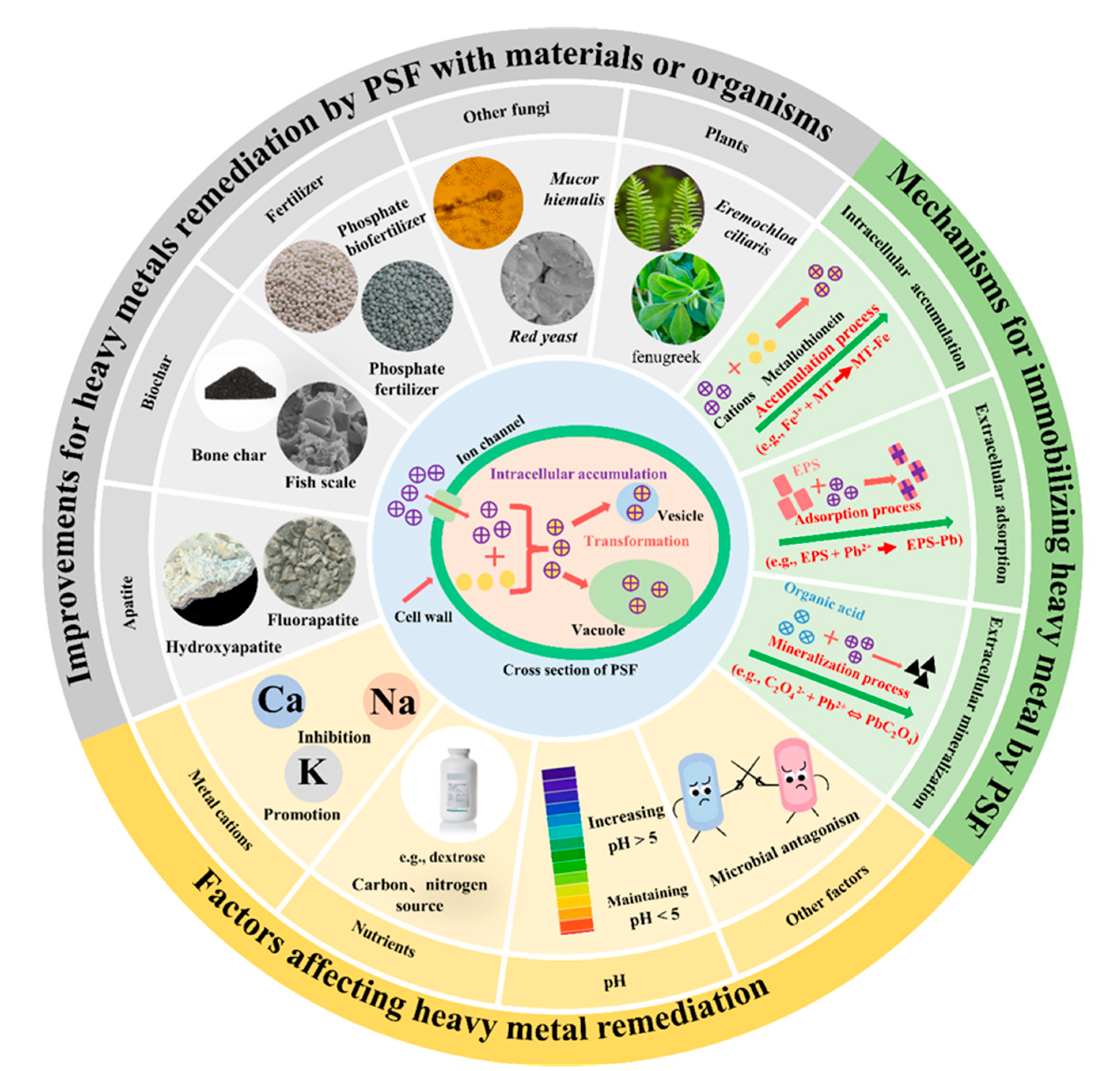 Agronomy 14 02638 g001