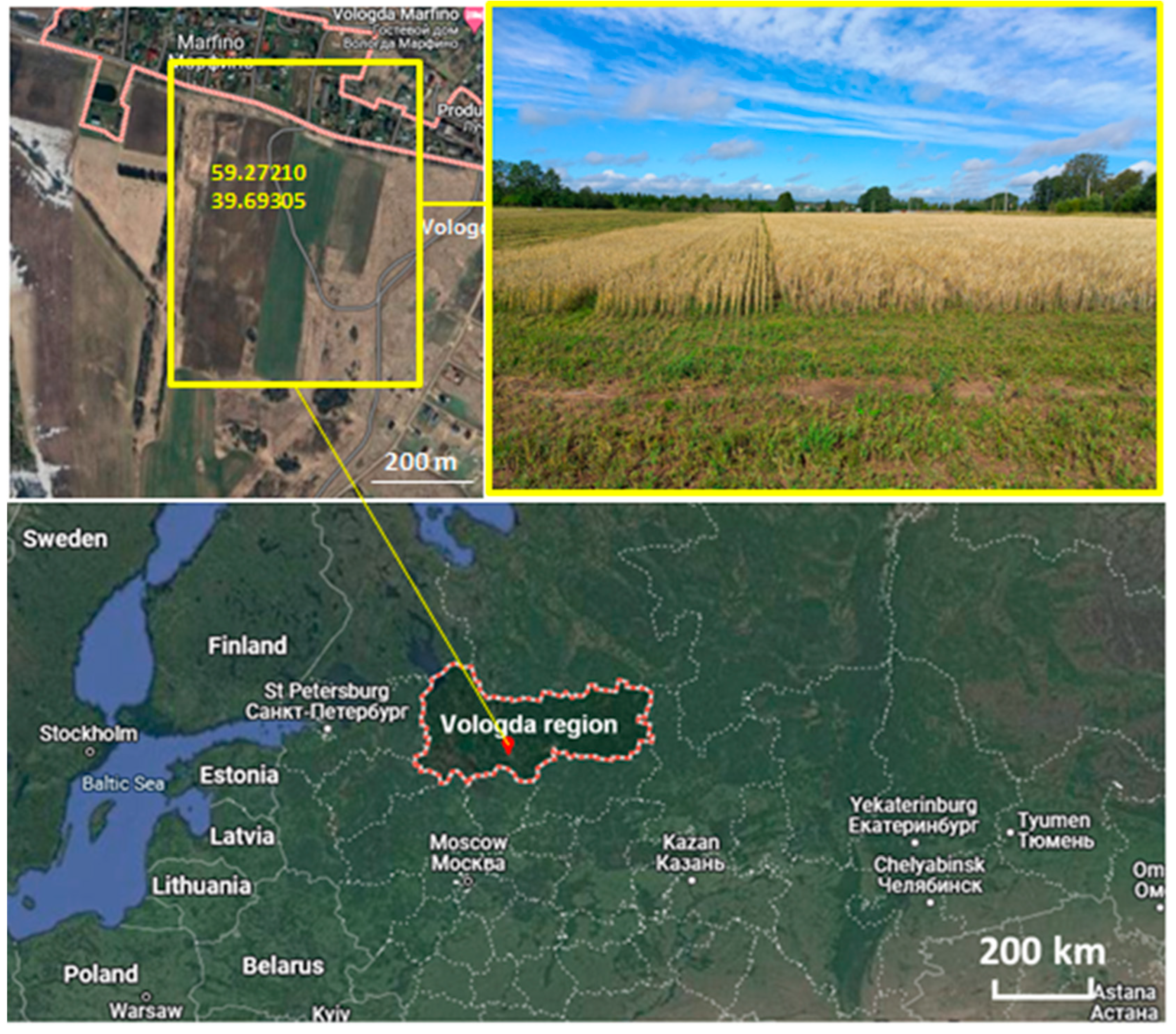 Agronomy 14 02642 g001