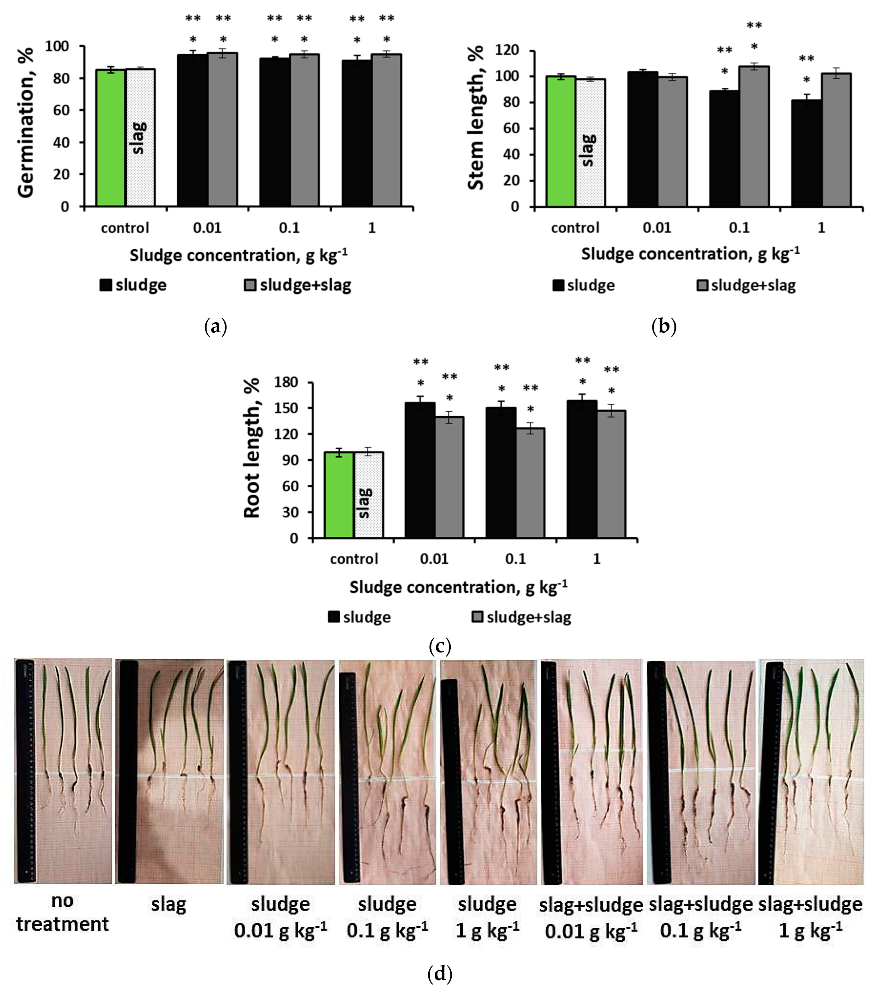 Agronomy 14 02642 g003