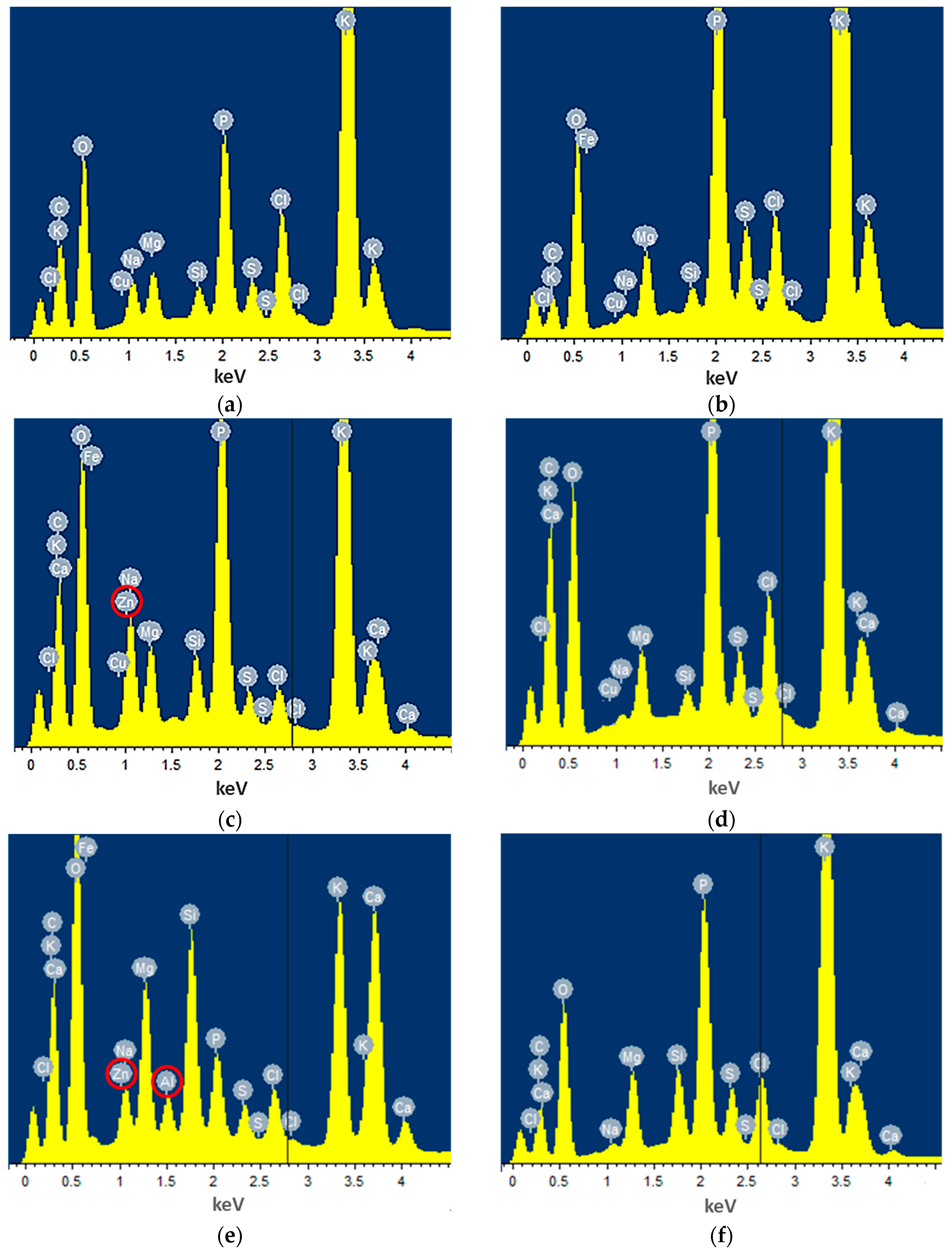 Agronomy 14 02642 g005