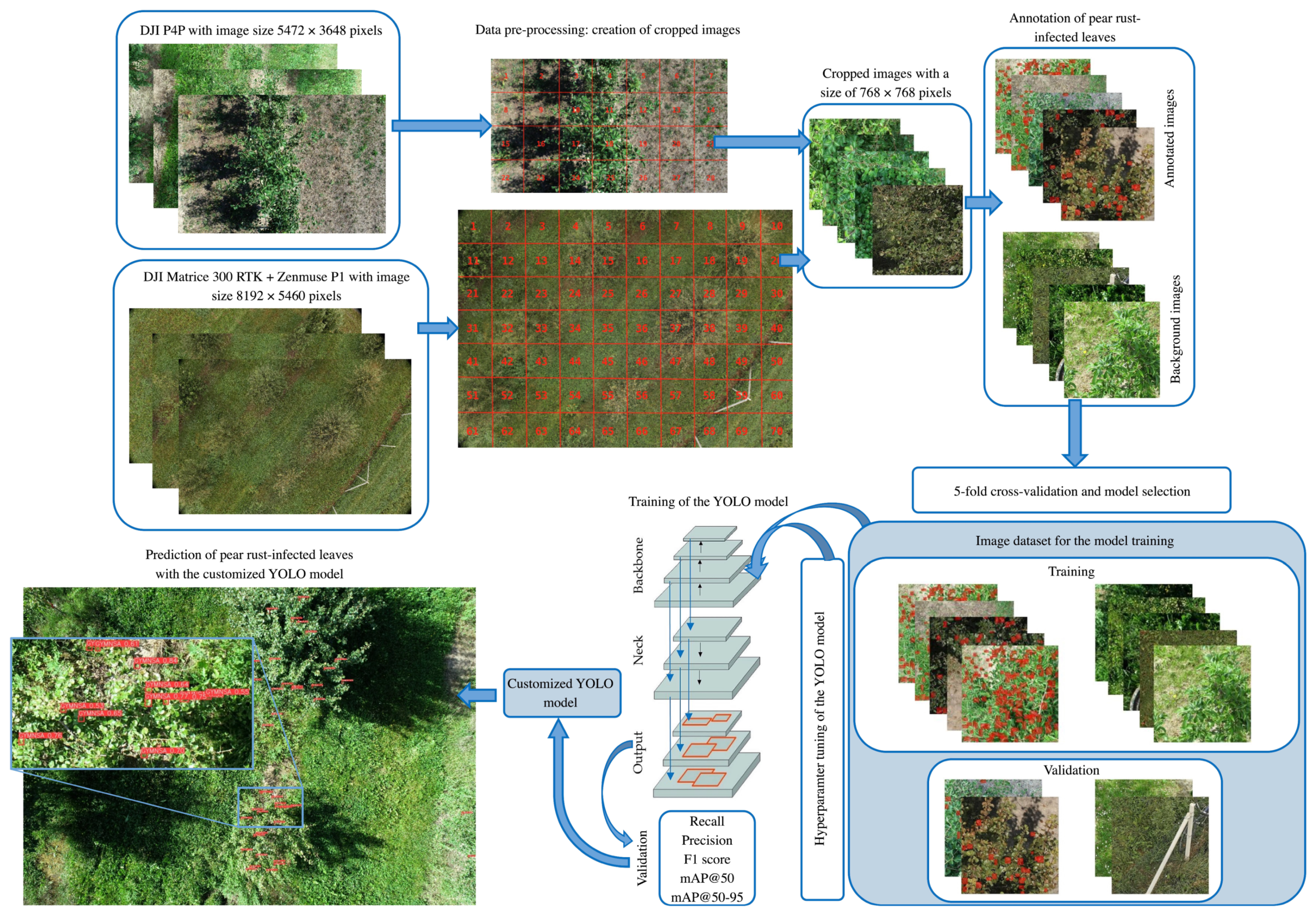 Agronomy 14 02643 g002