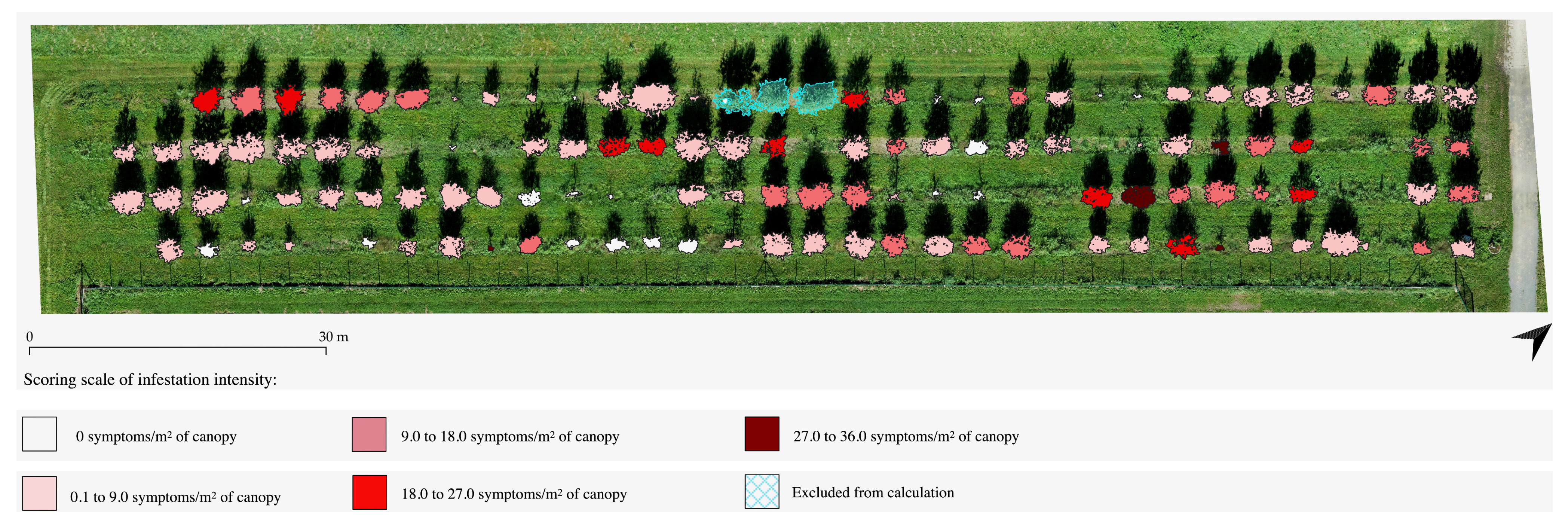 Agronomy 14 02643 g006