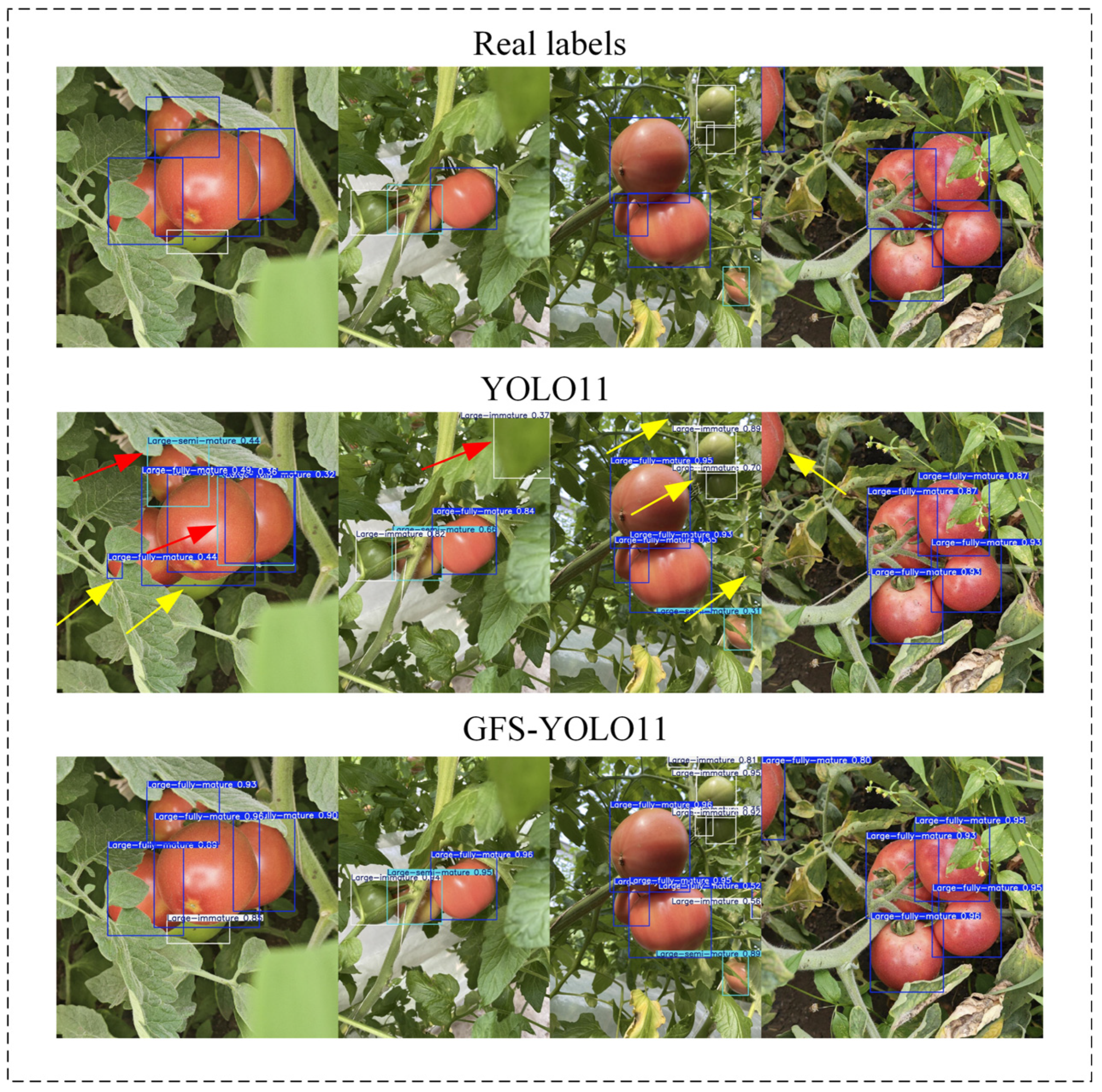 Agronomy 14 02644 g011