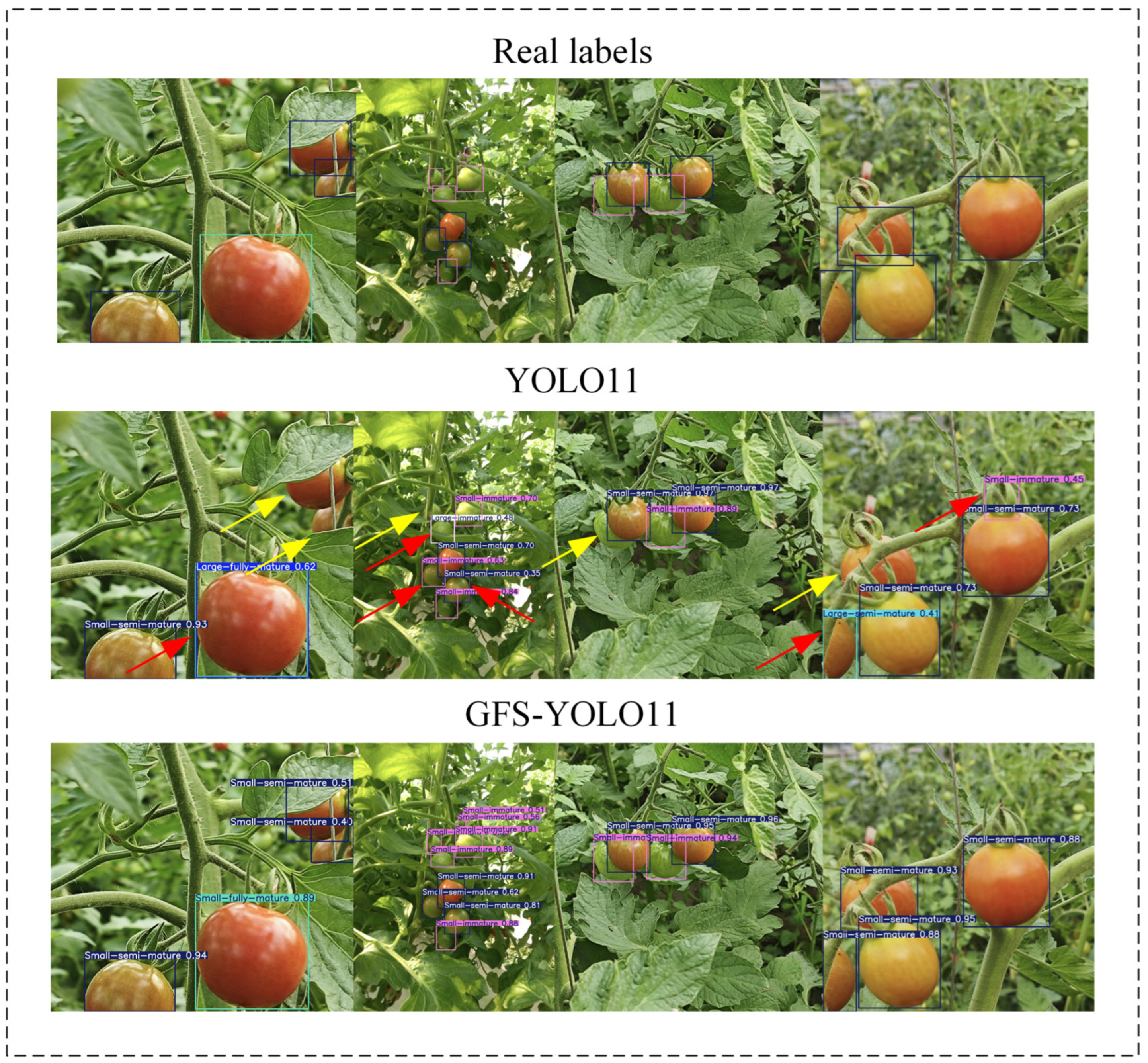 Agronomy 14 02644 g012