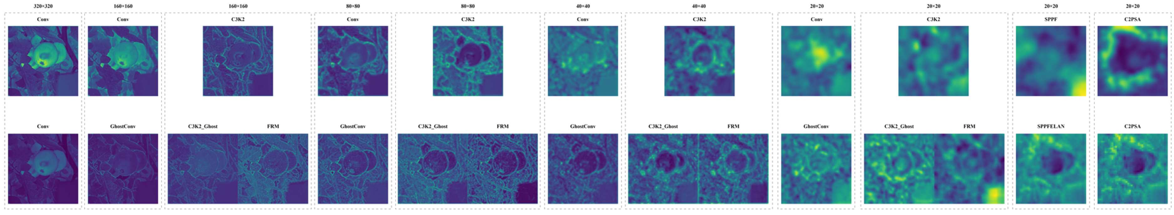 Agronomy 14 02644 g013