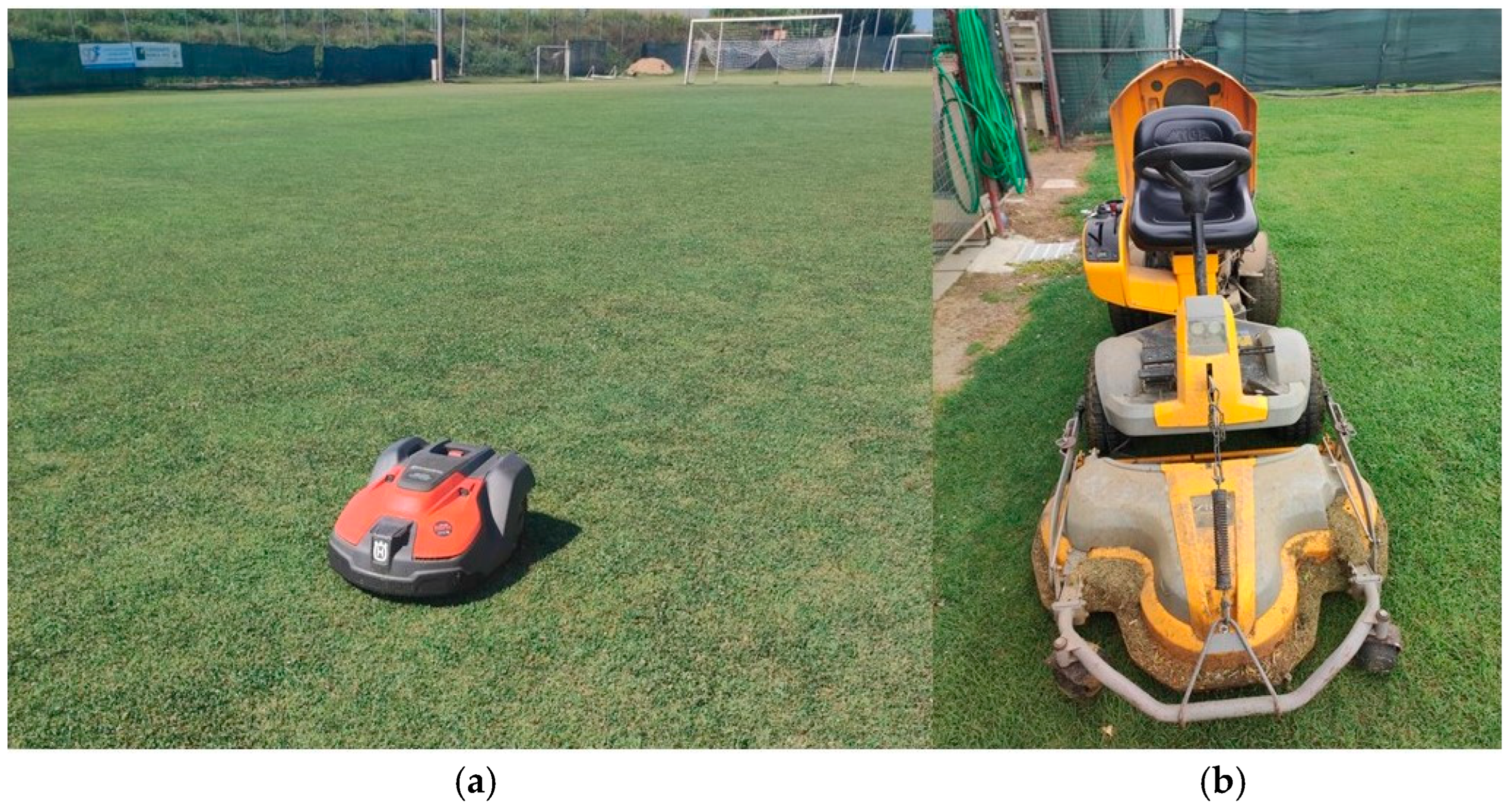 Agronomy 14 02645 g002