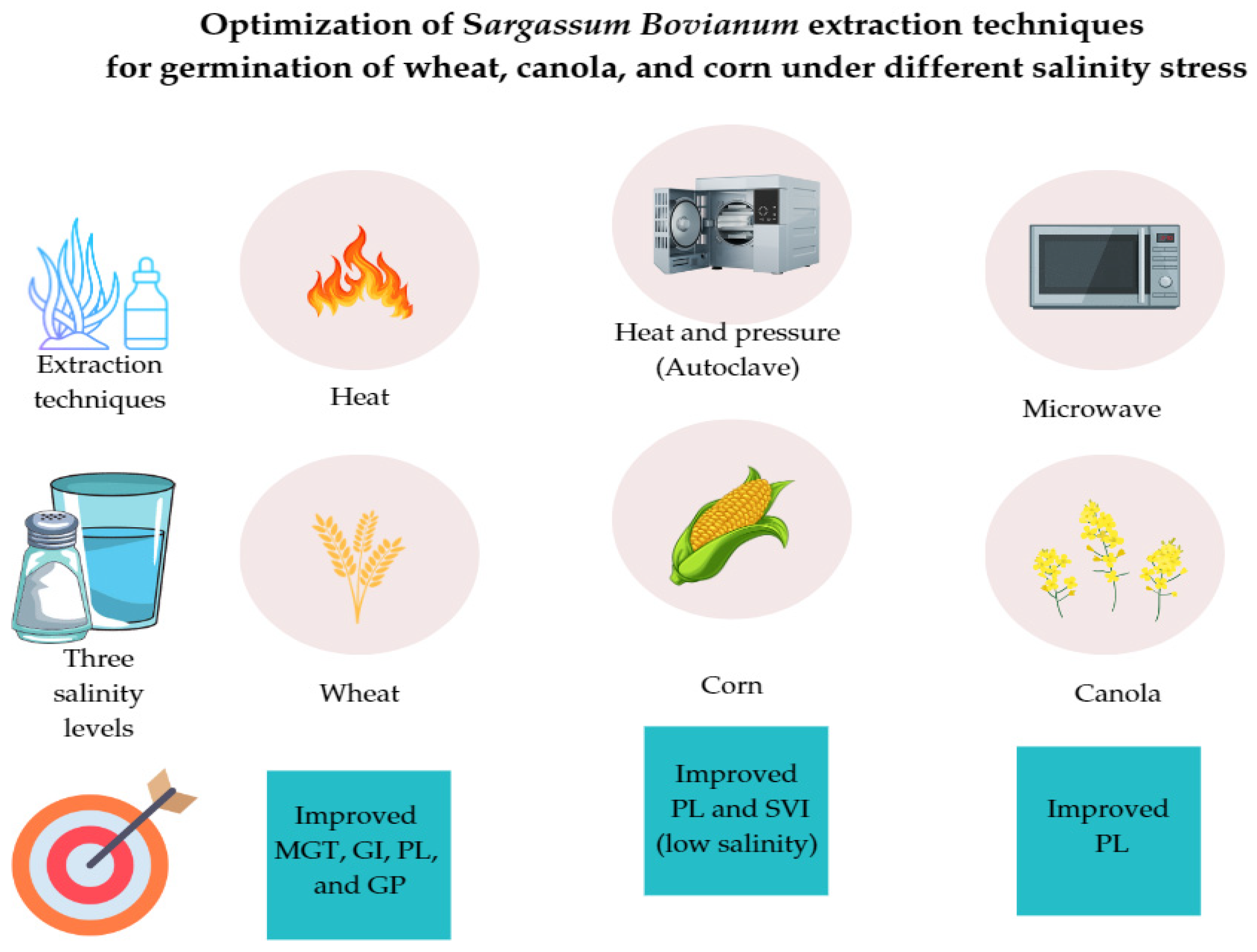 Agronomy 14 02646 g001