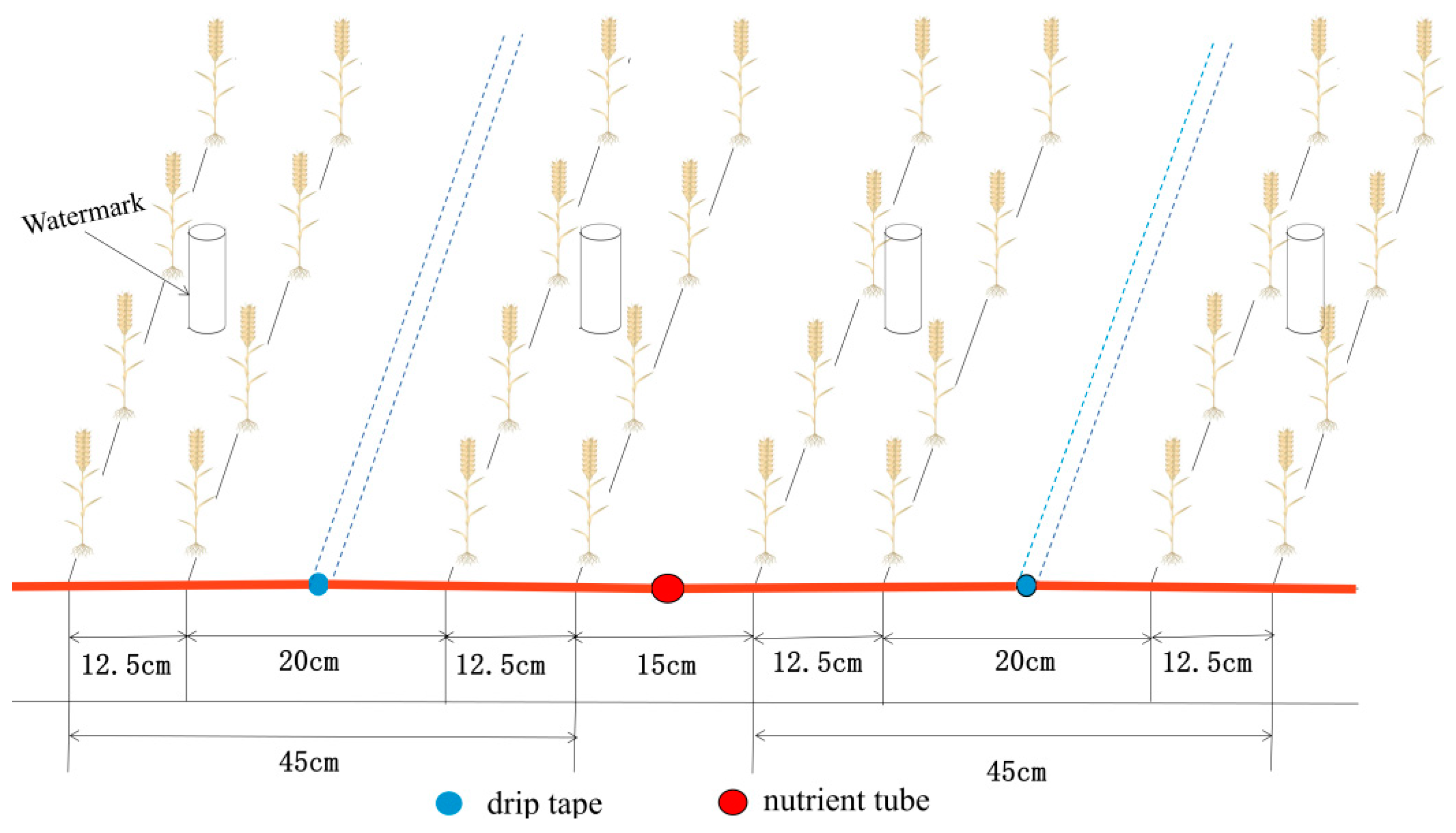 Agronomy 14 02647 g002