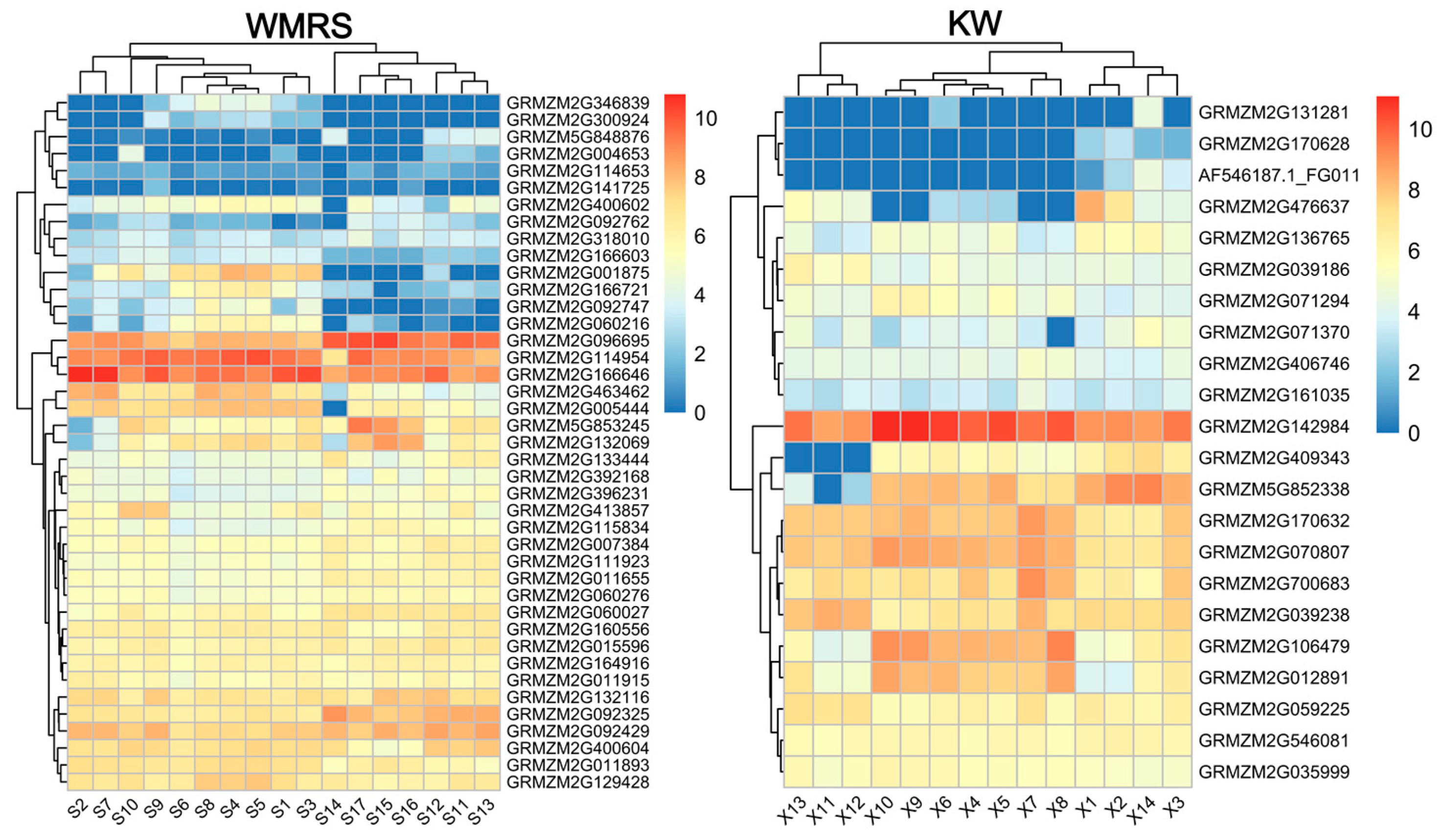 Agronomy 14 02648 g005 Agronomy 14 02648 g005