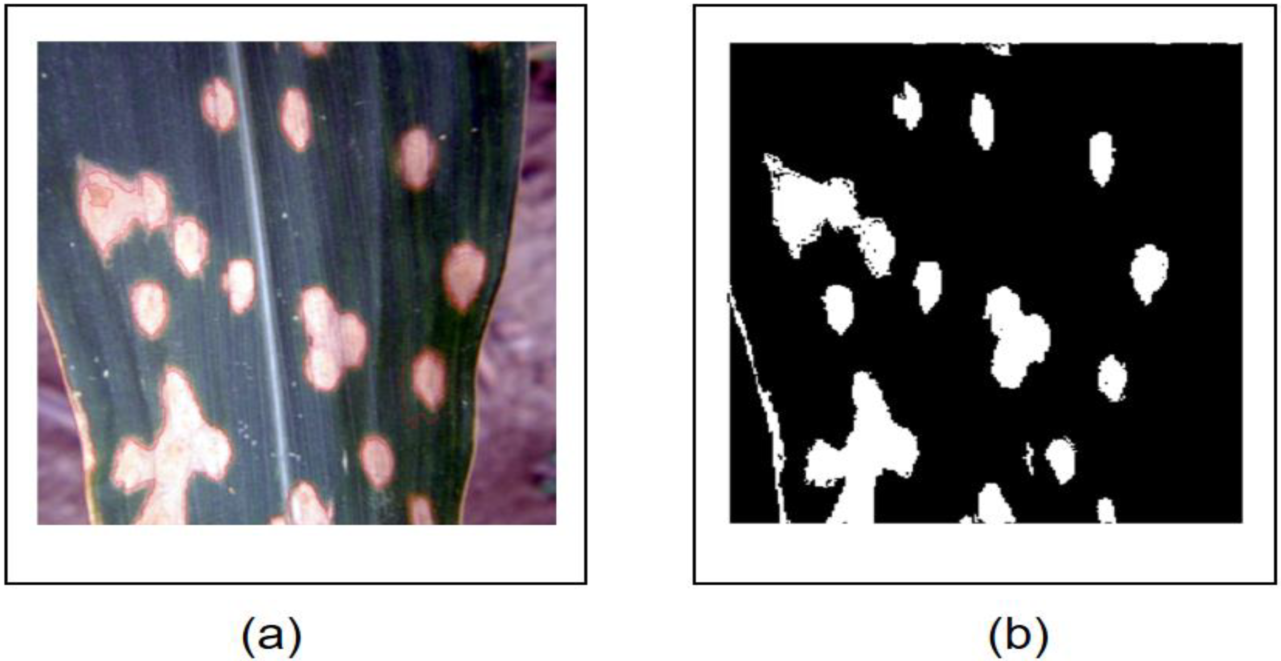 Agronomy 14 02652 g003