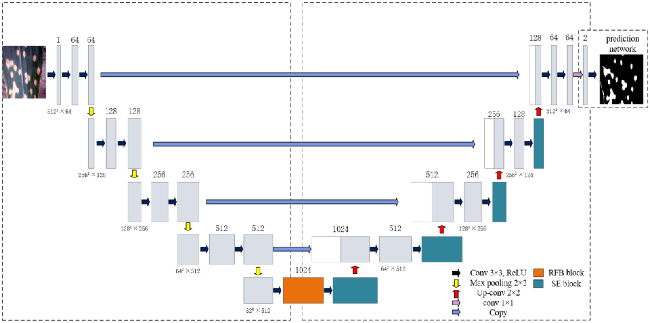 Agronomy 14 02652 g006