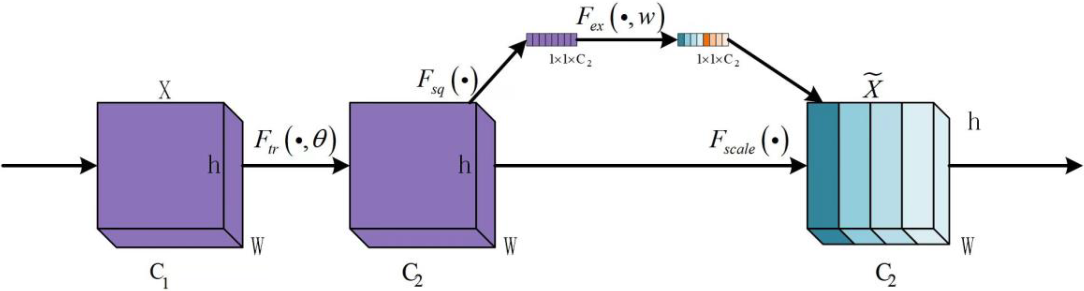 Agronomy 14 02652 g009