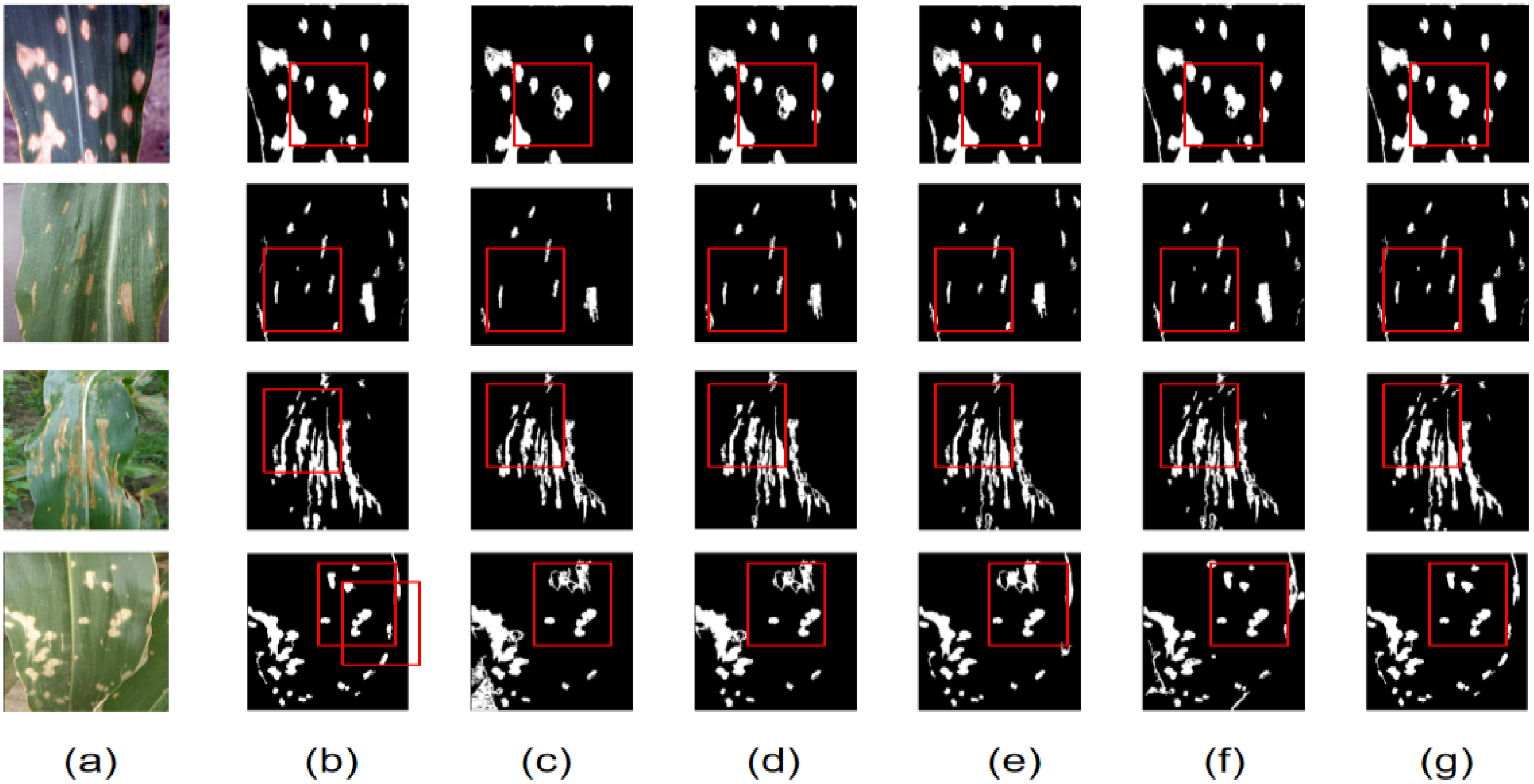 Agronomy 14 02652 g013