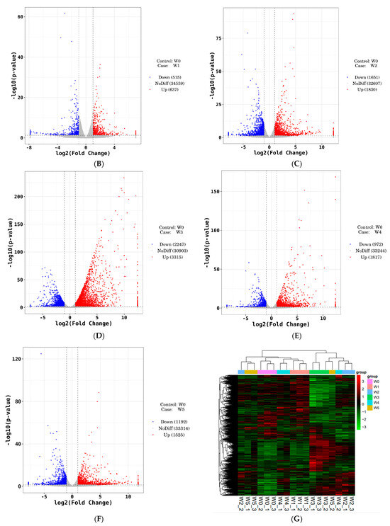 Integrative Transcriptomic and Metabolomic Analysis Reveals Integrative Transcriptomic and Metabolomic Analysis Reveals