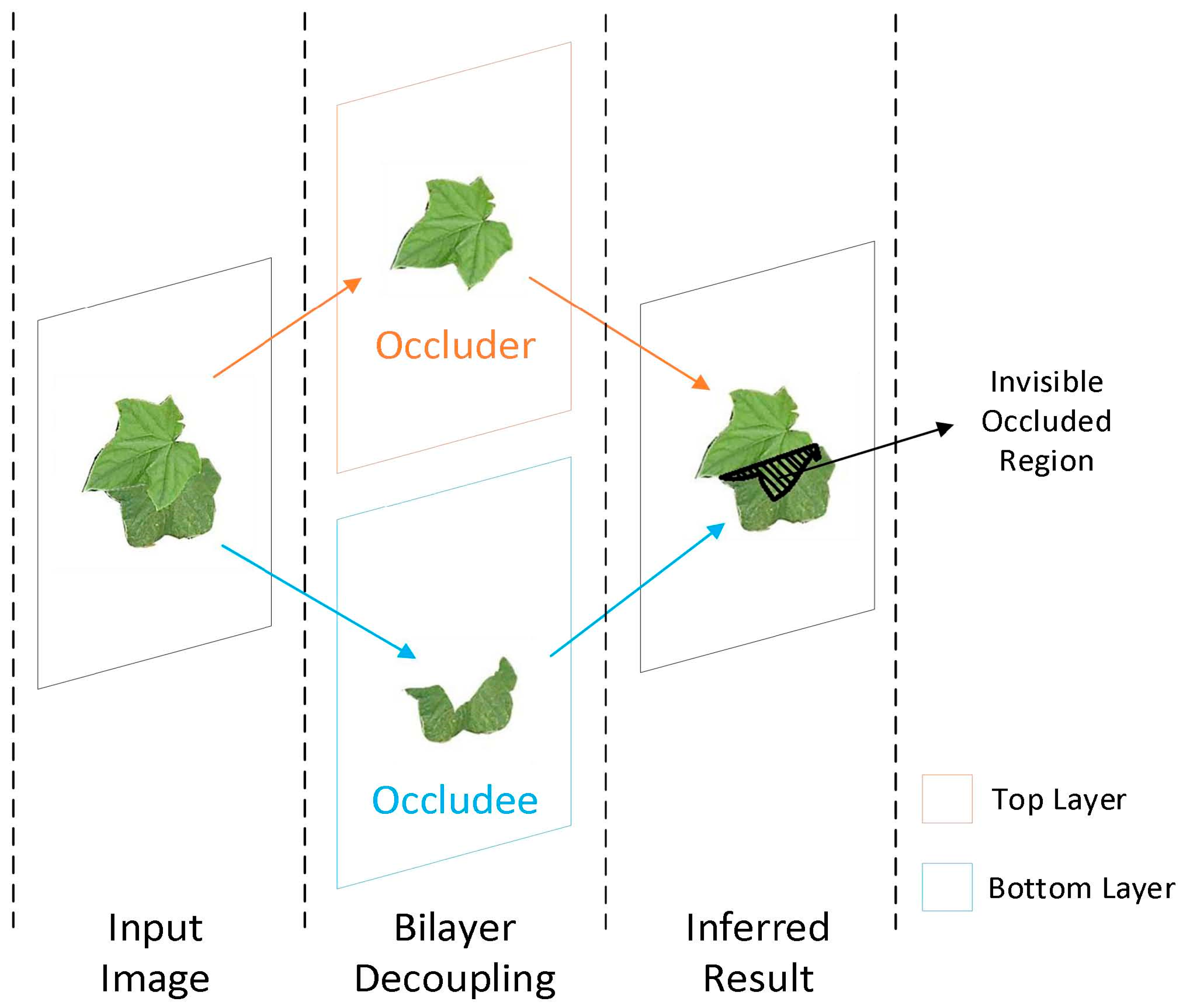 Agronomy 14 02664 g001