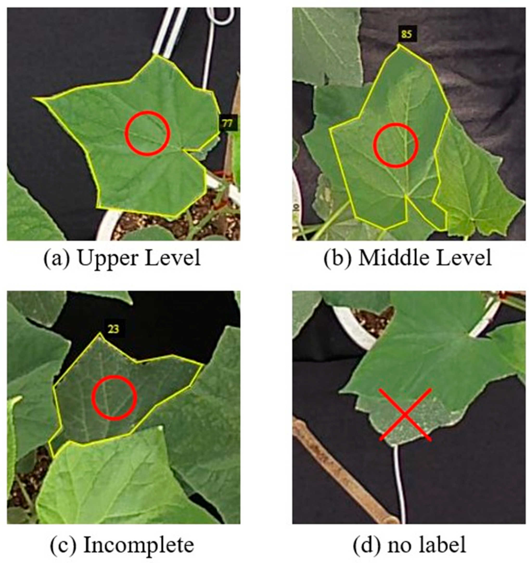 Agronomy 14 02664 g003
