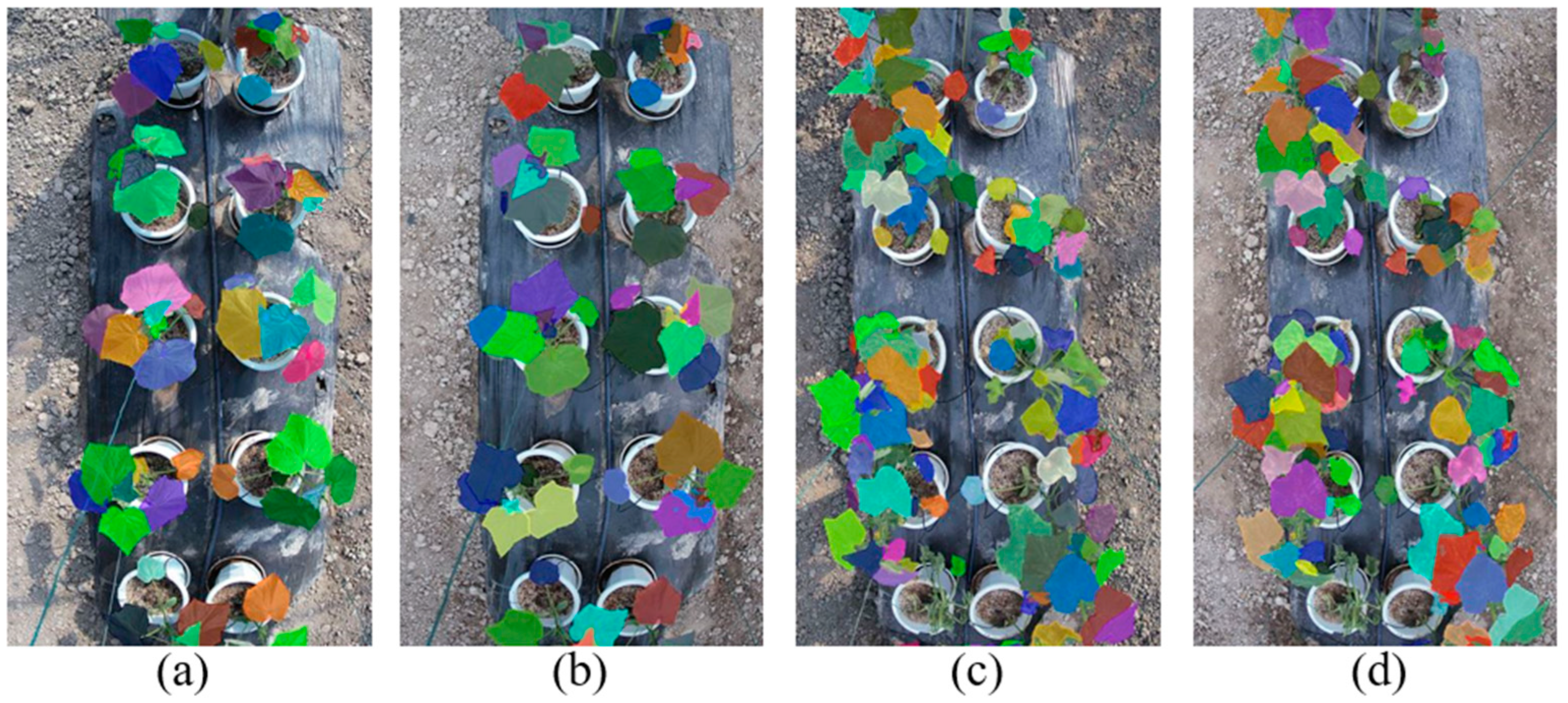 Agronomy 14 02664 g006