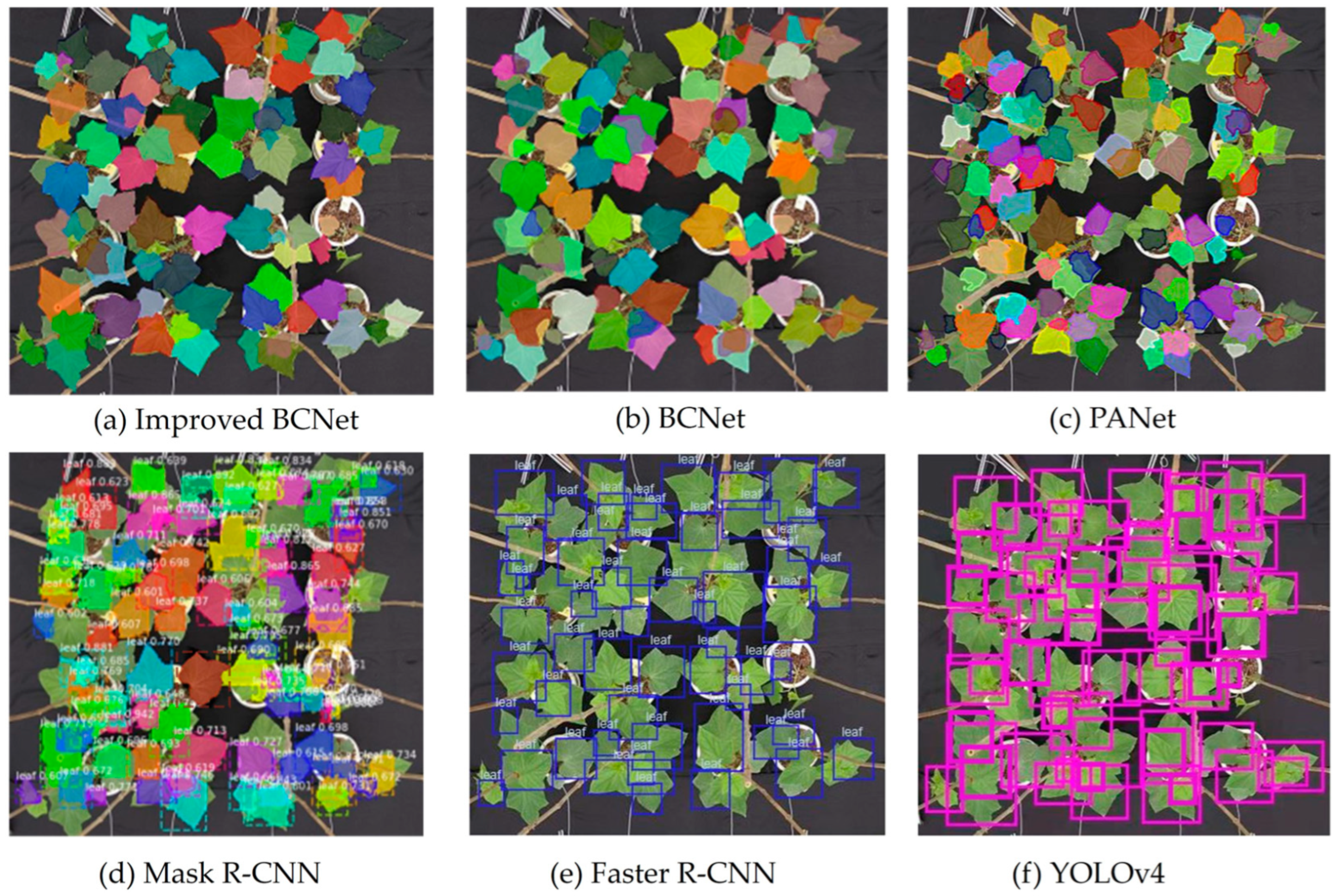 Agronomy 14 02664 g008