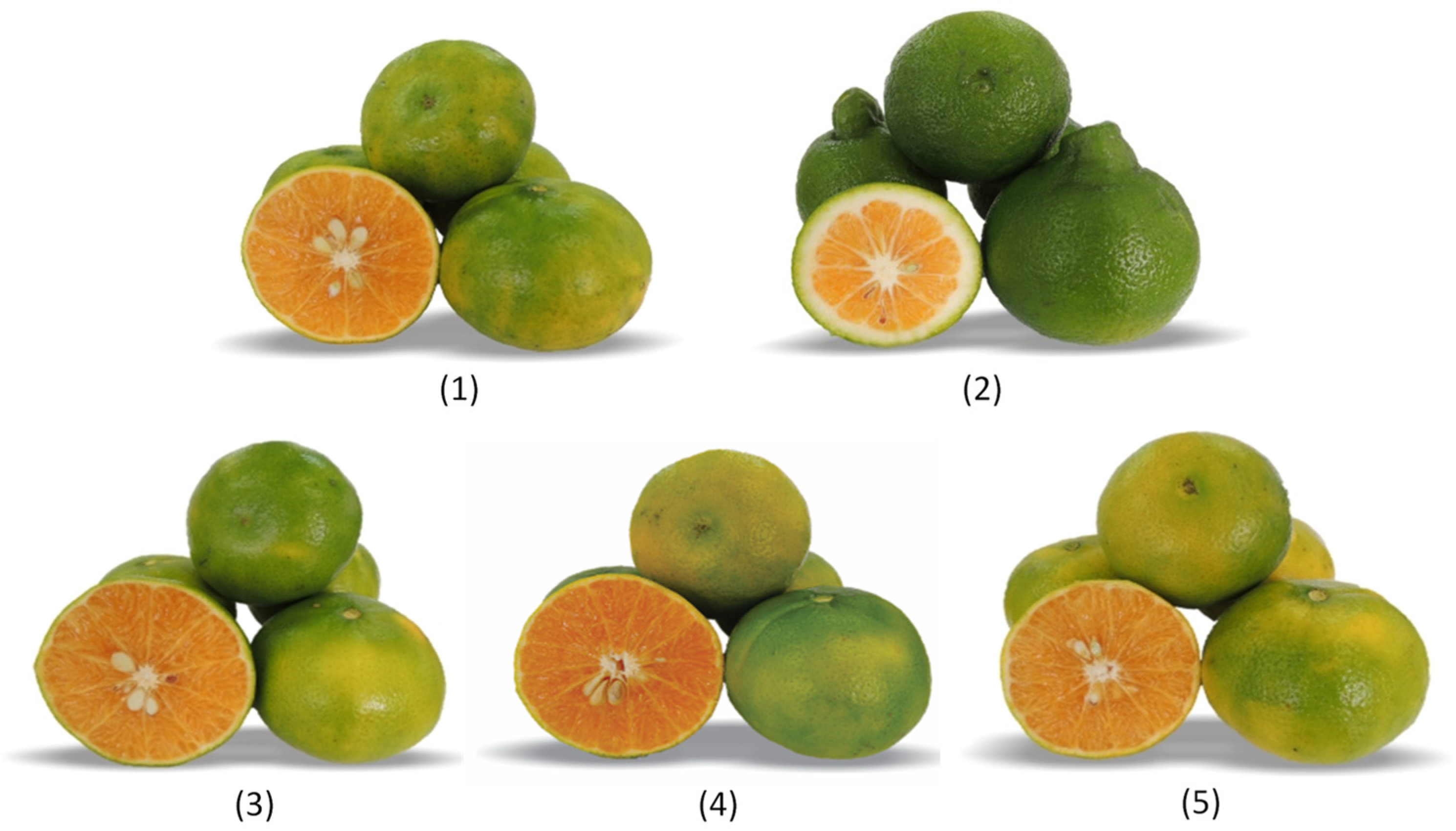 Agronomy 14 02666 g003