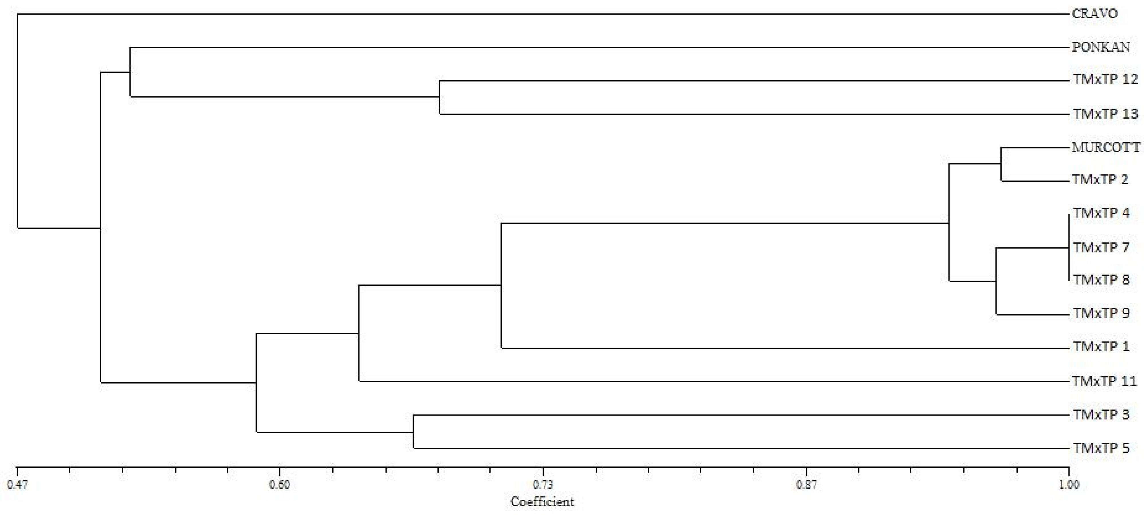 Agronomy 14 02666 g007