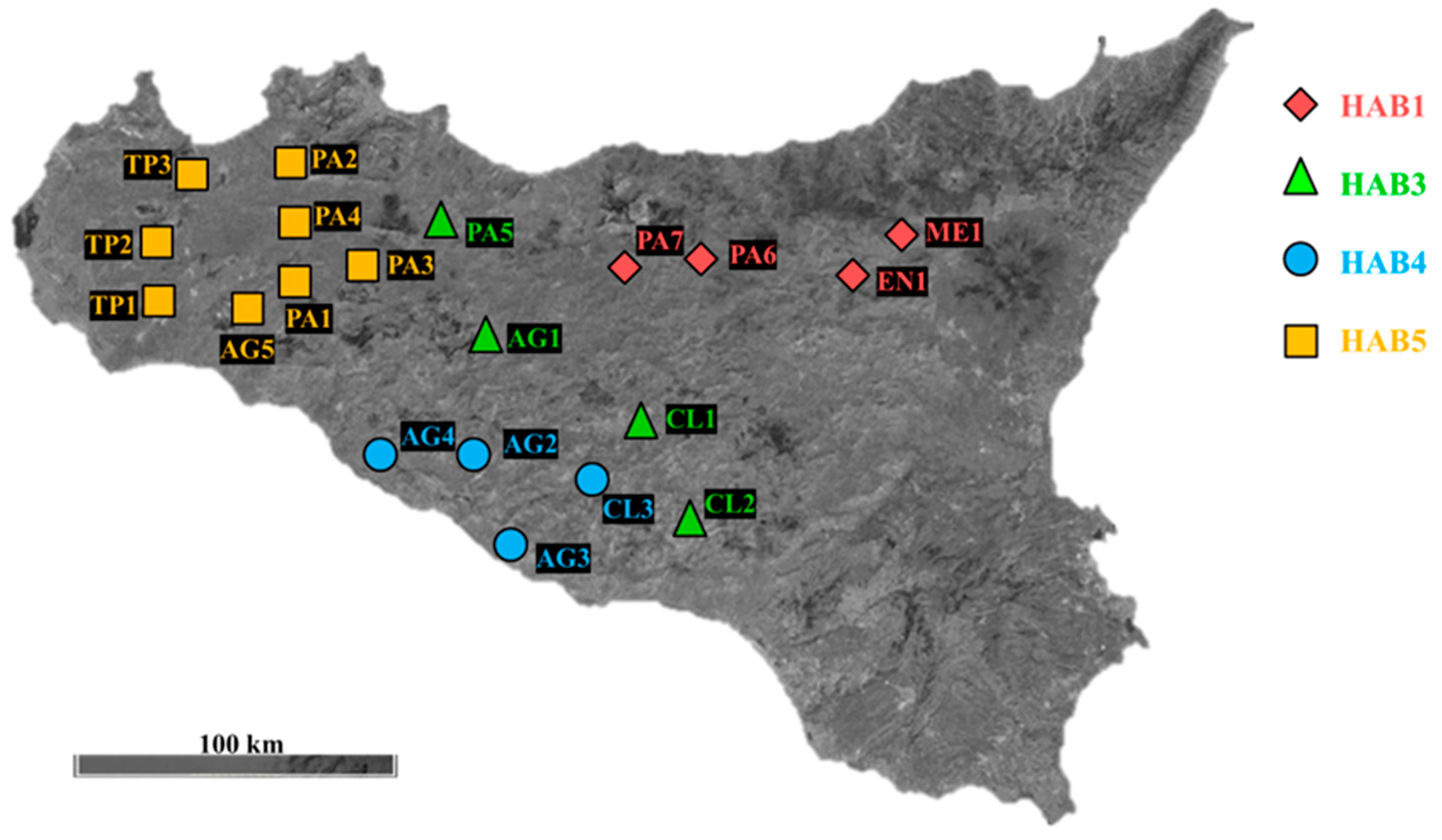 Agronomy 14 02667 g001