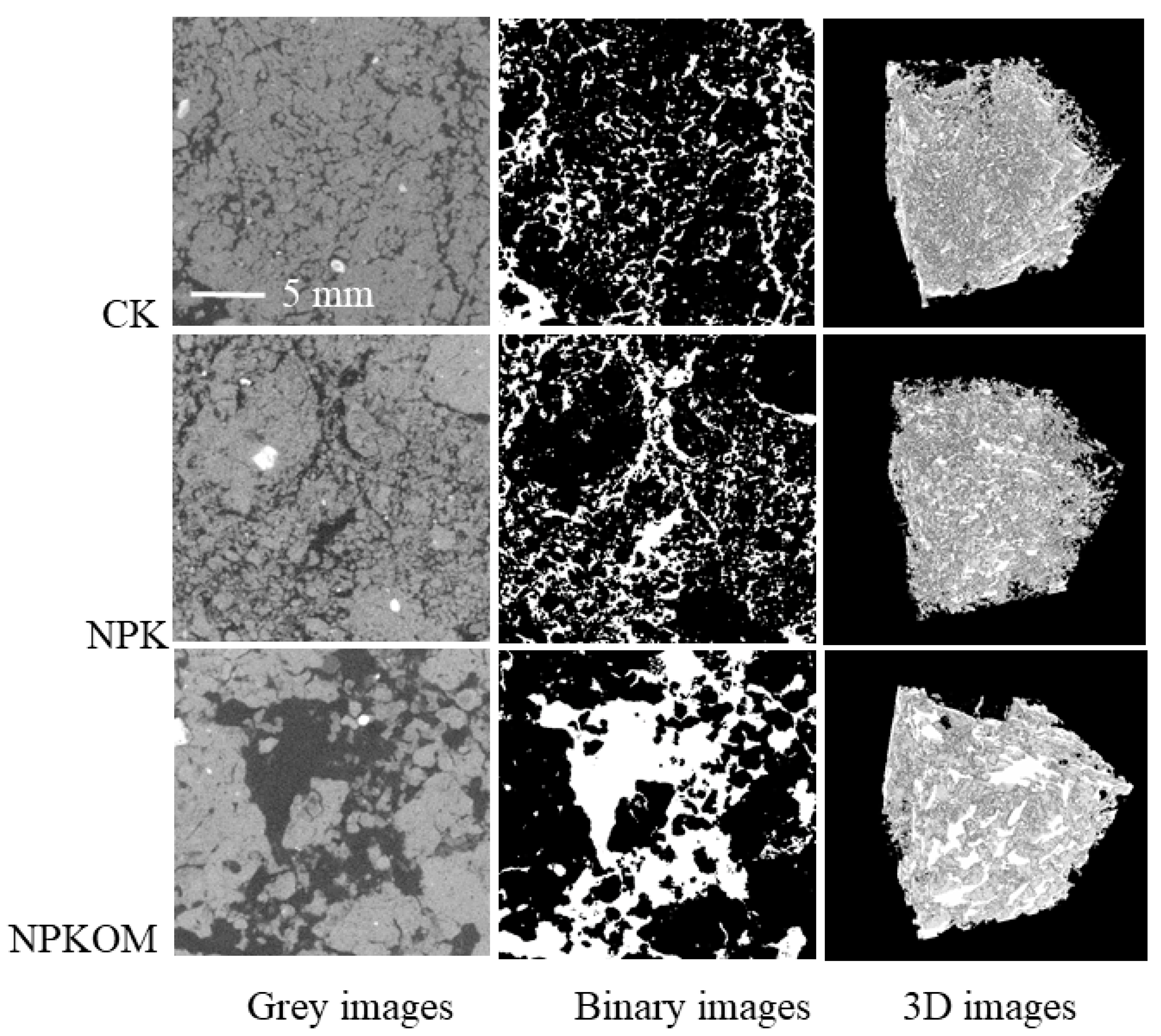 Agronomy 14 02668 g002