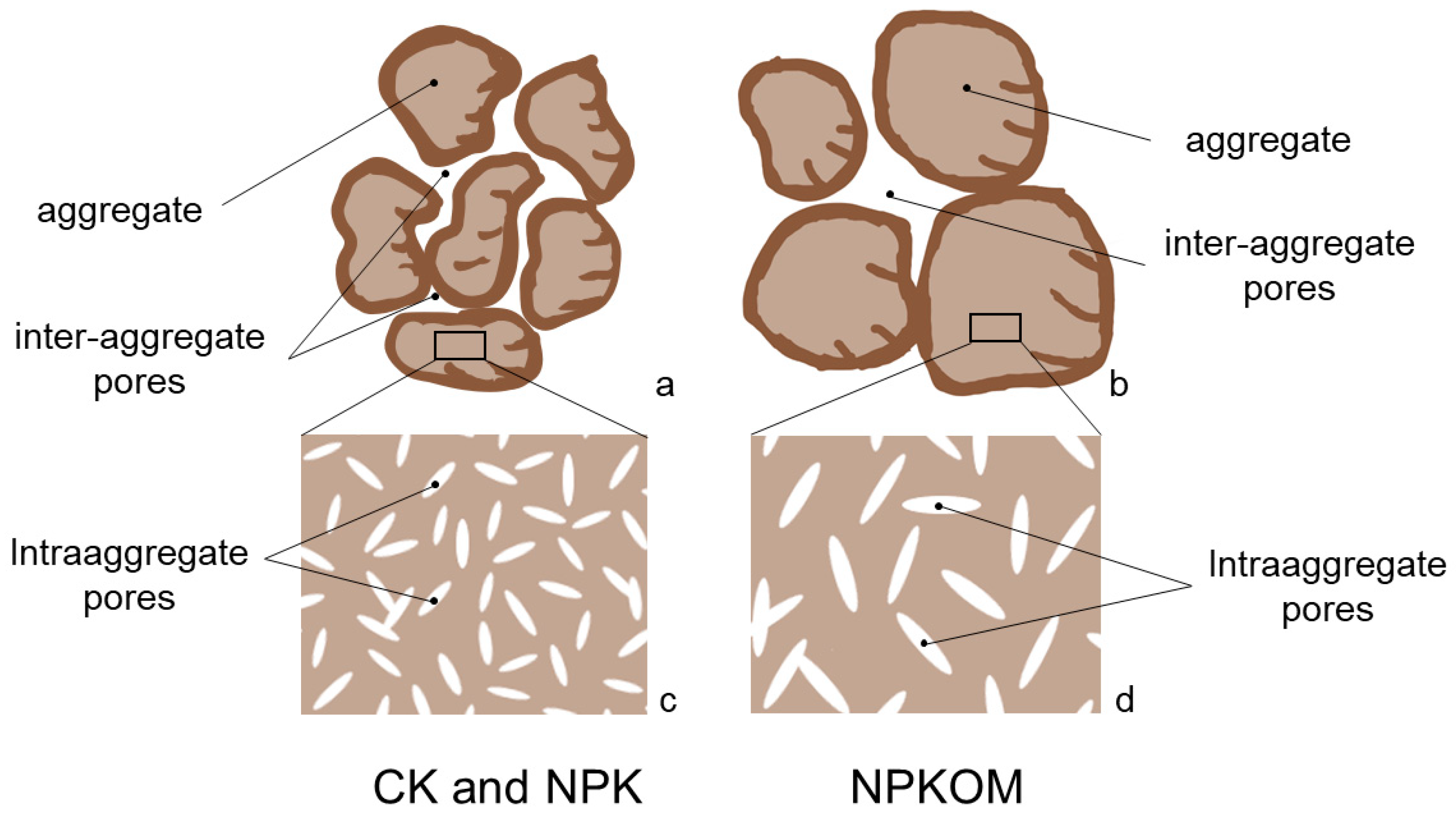 Agronomy 14 02668 g007